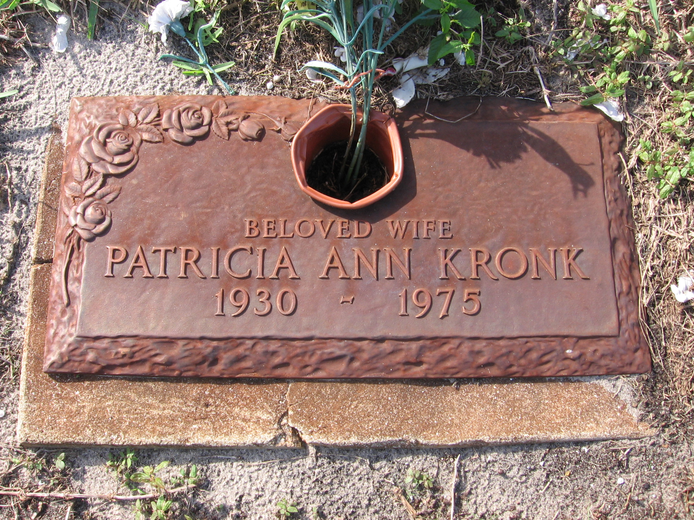 Patricia Ann Kronk