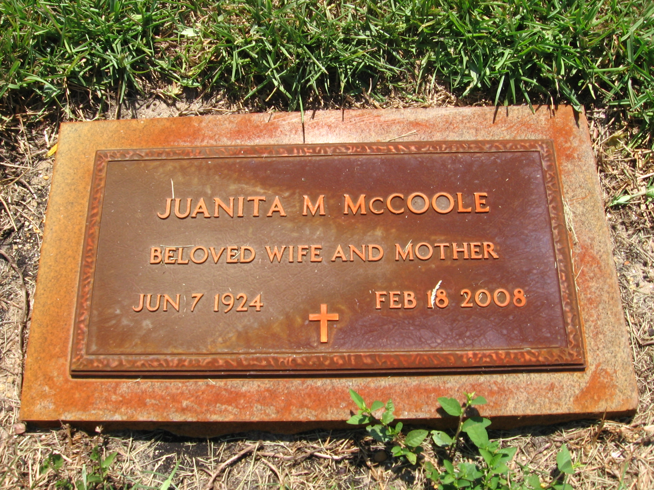 Juanita M McCoole
