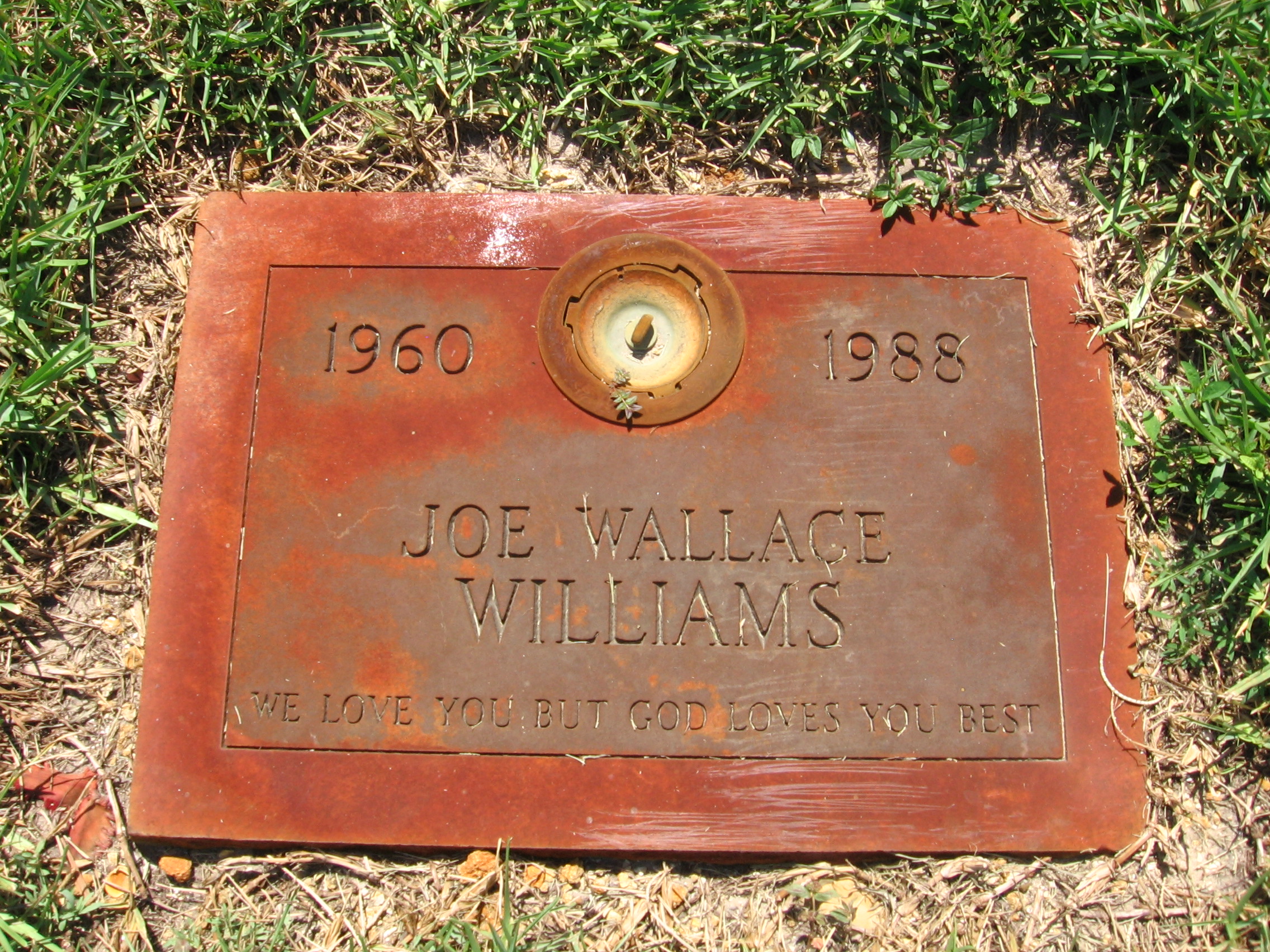 Joe Wallace Williams