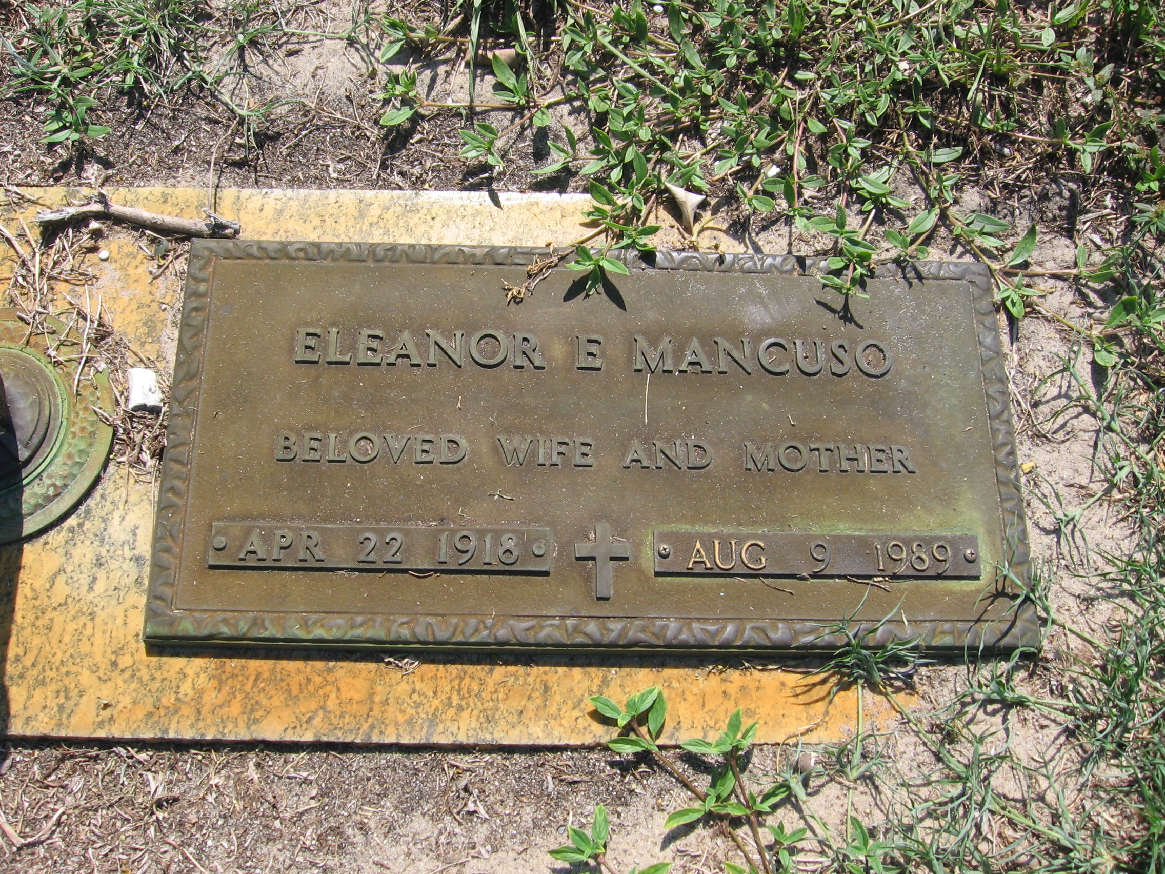 Eleanor E Mancuso