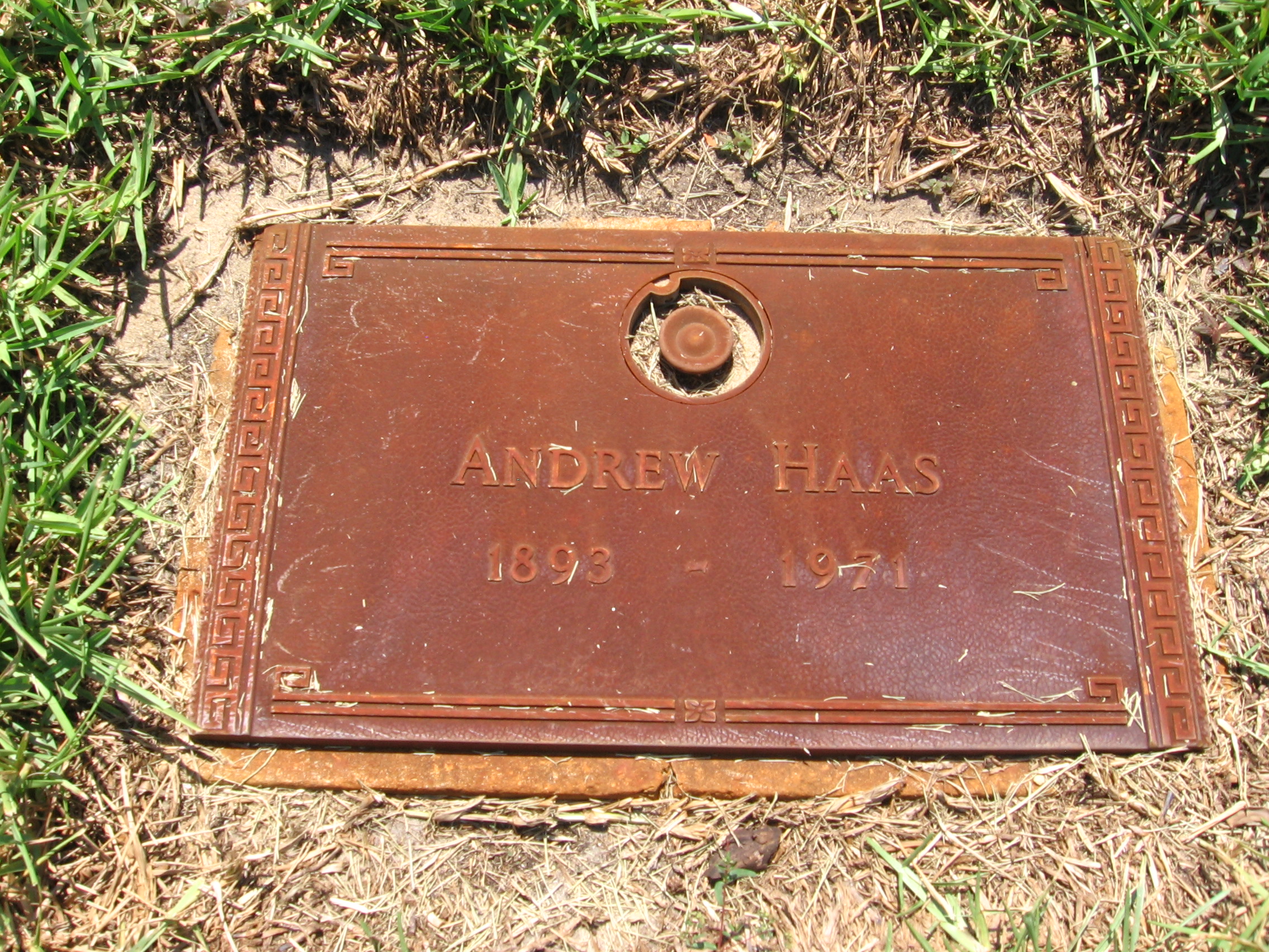 Andrew Haas