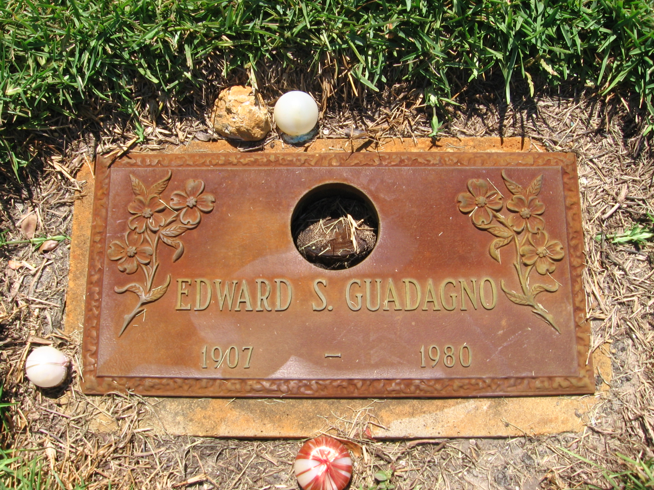 Edward S Guadagno