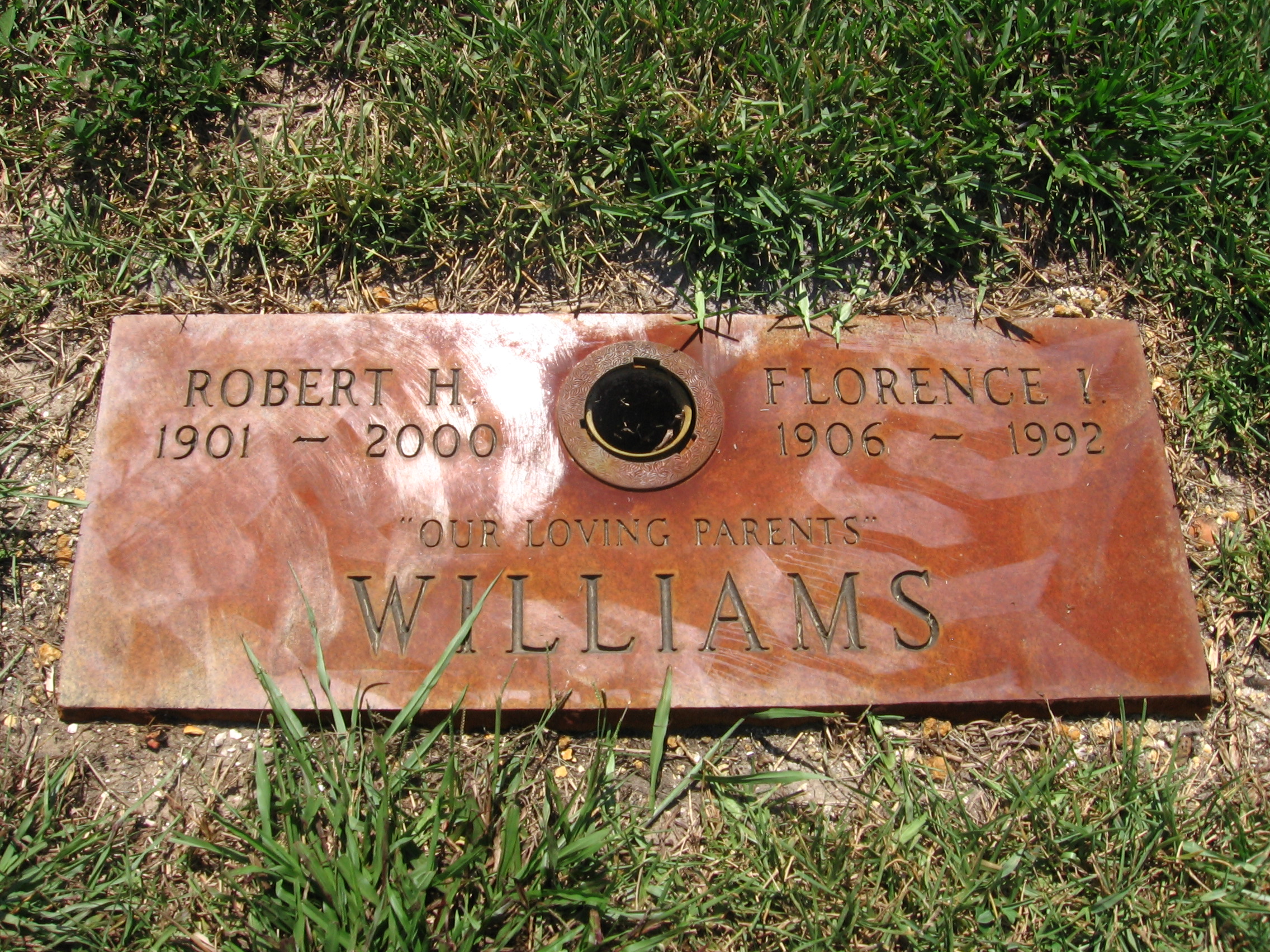 Robert H Williams