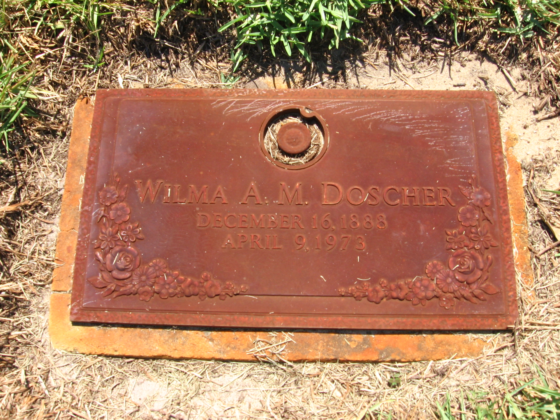 Wilma A M Doscher