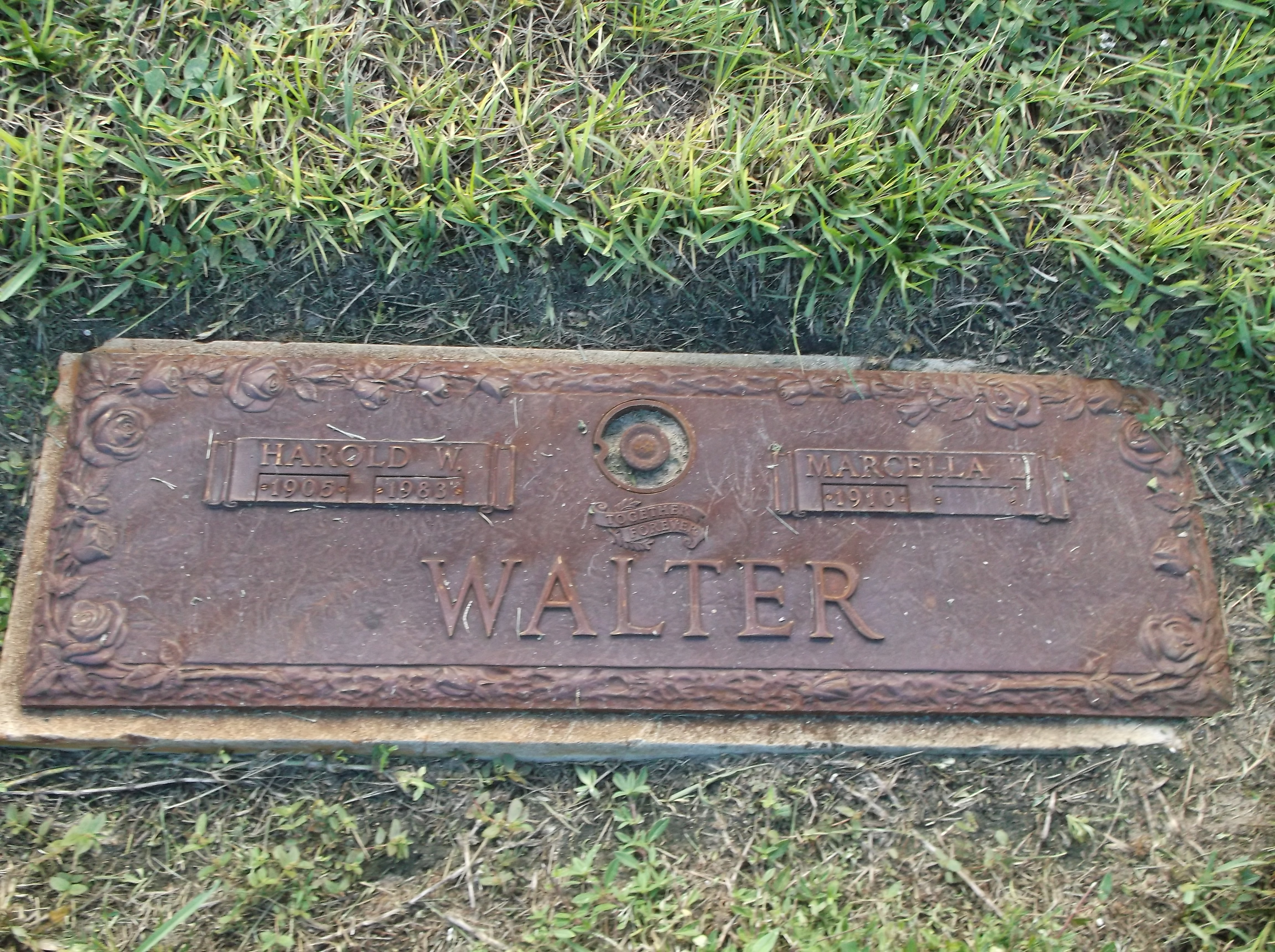 Harold W Walter