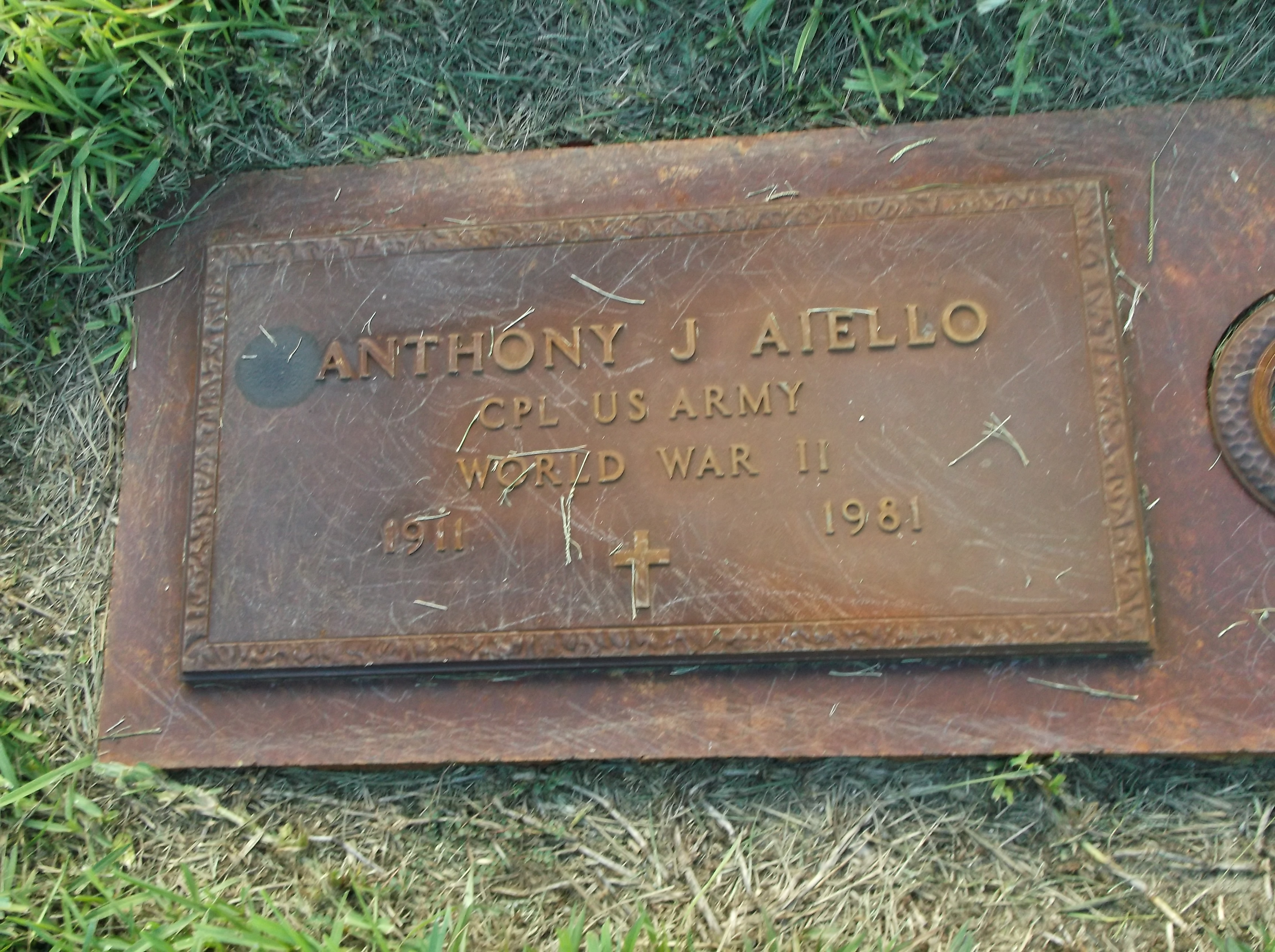 Anthony J Aiello