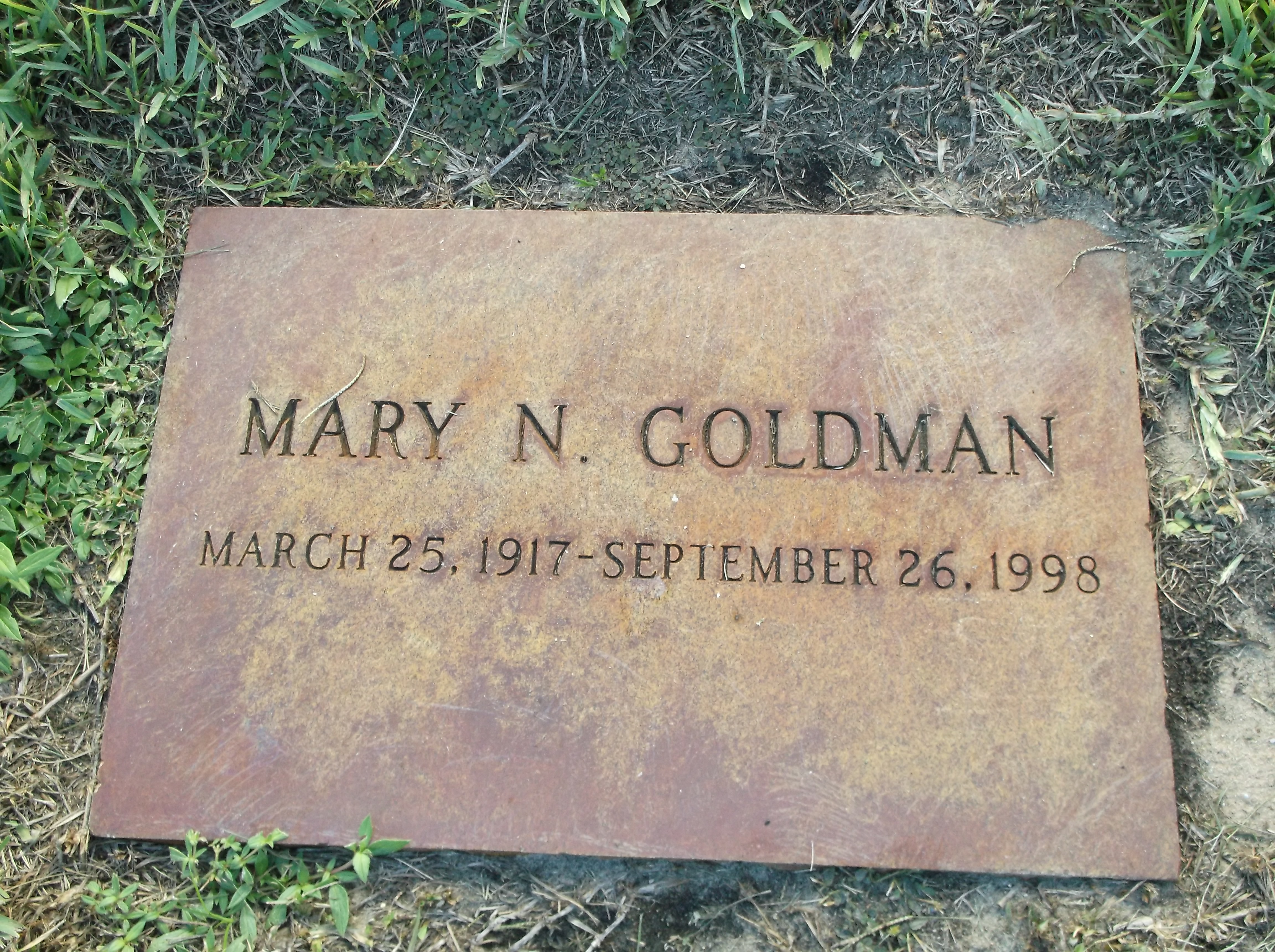 Mary N Goldman