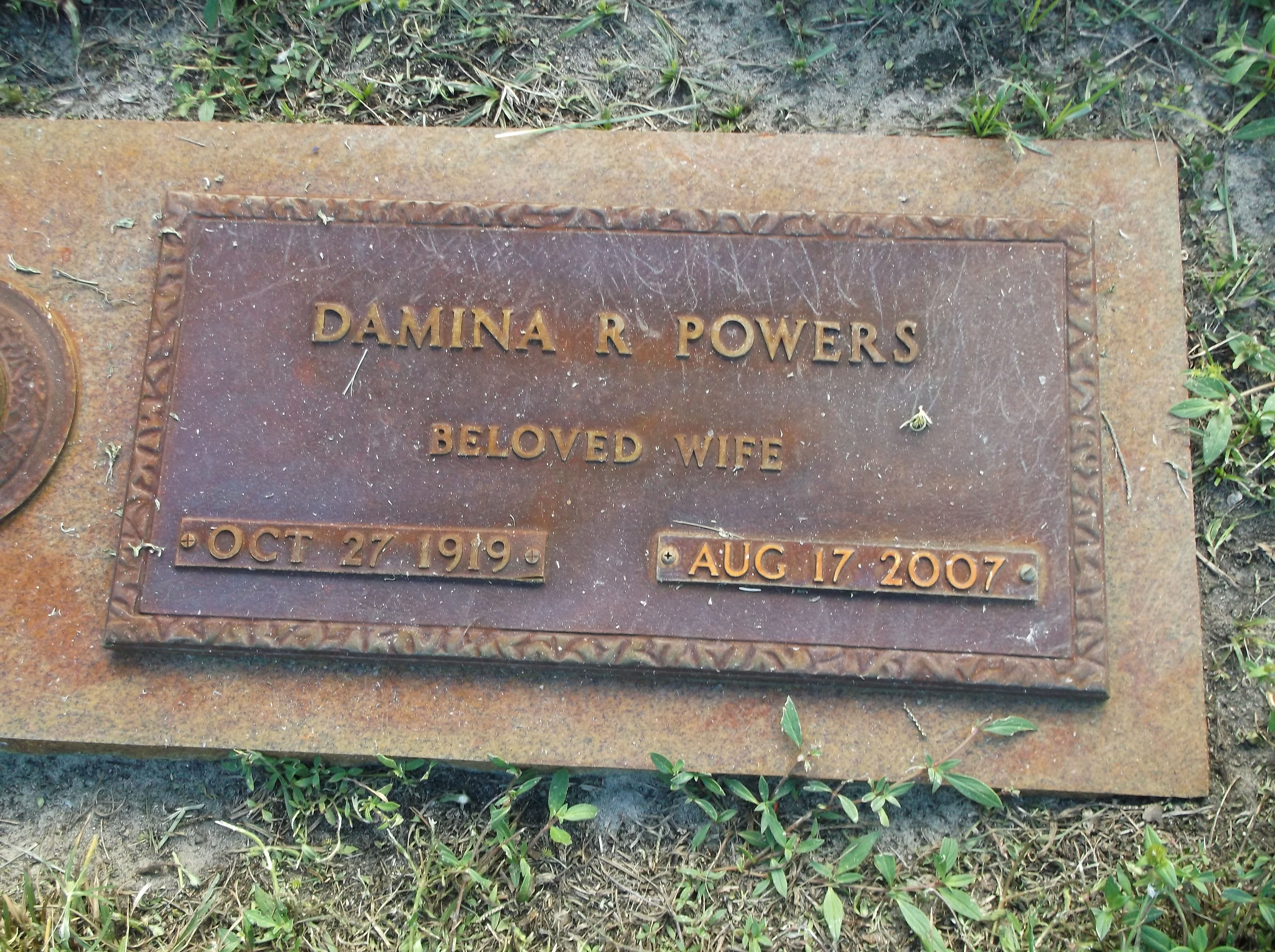 Damina R Powers