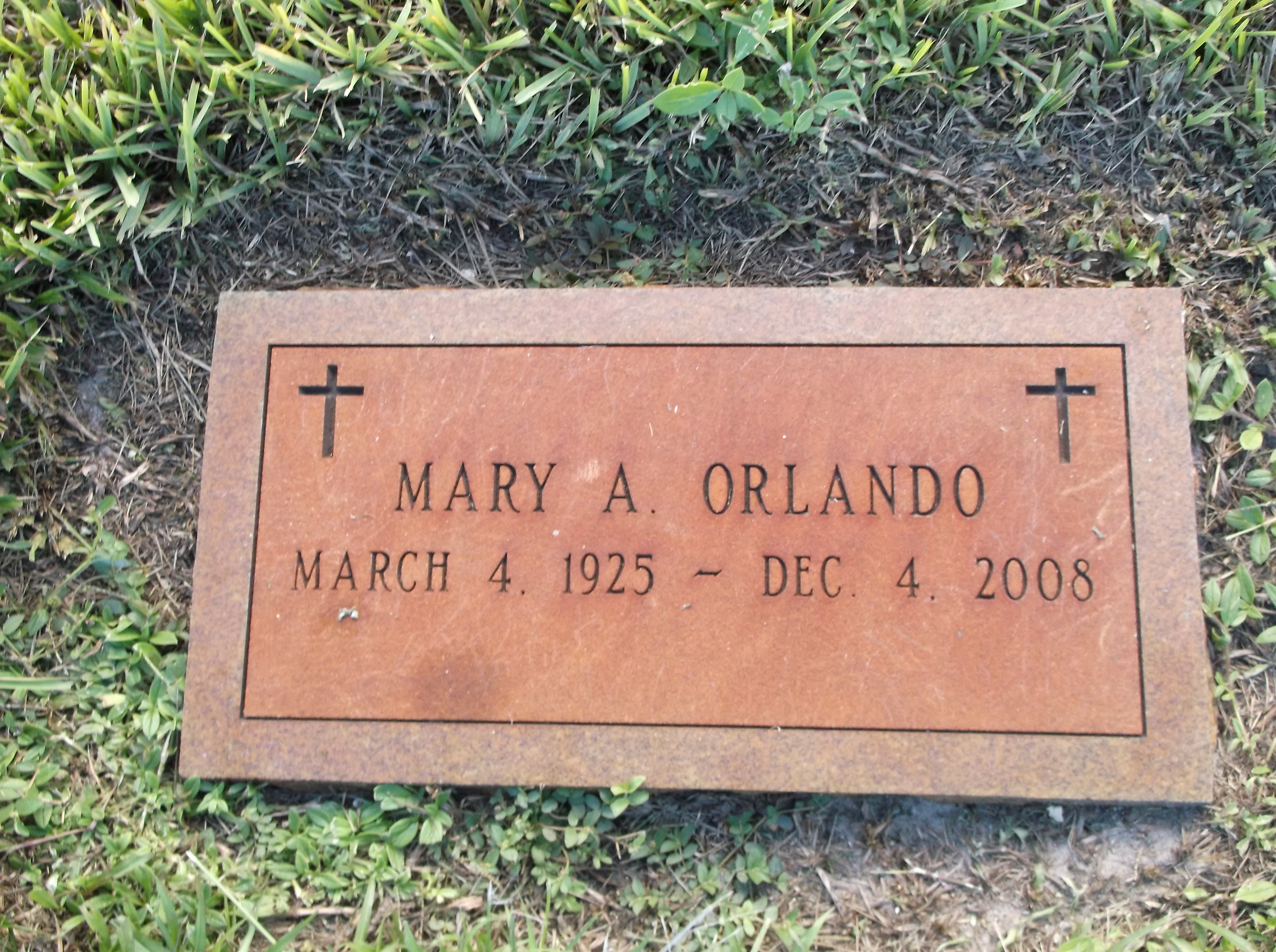Mary A Orlando