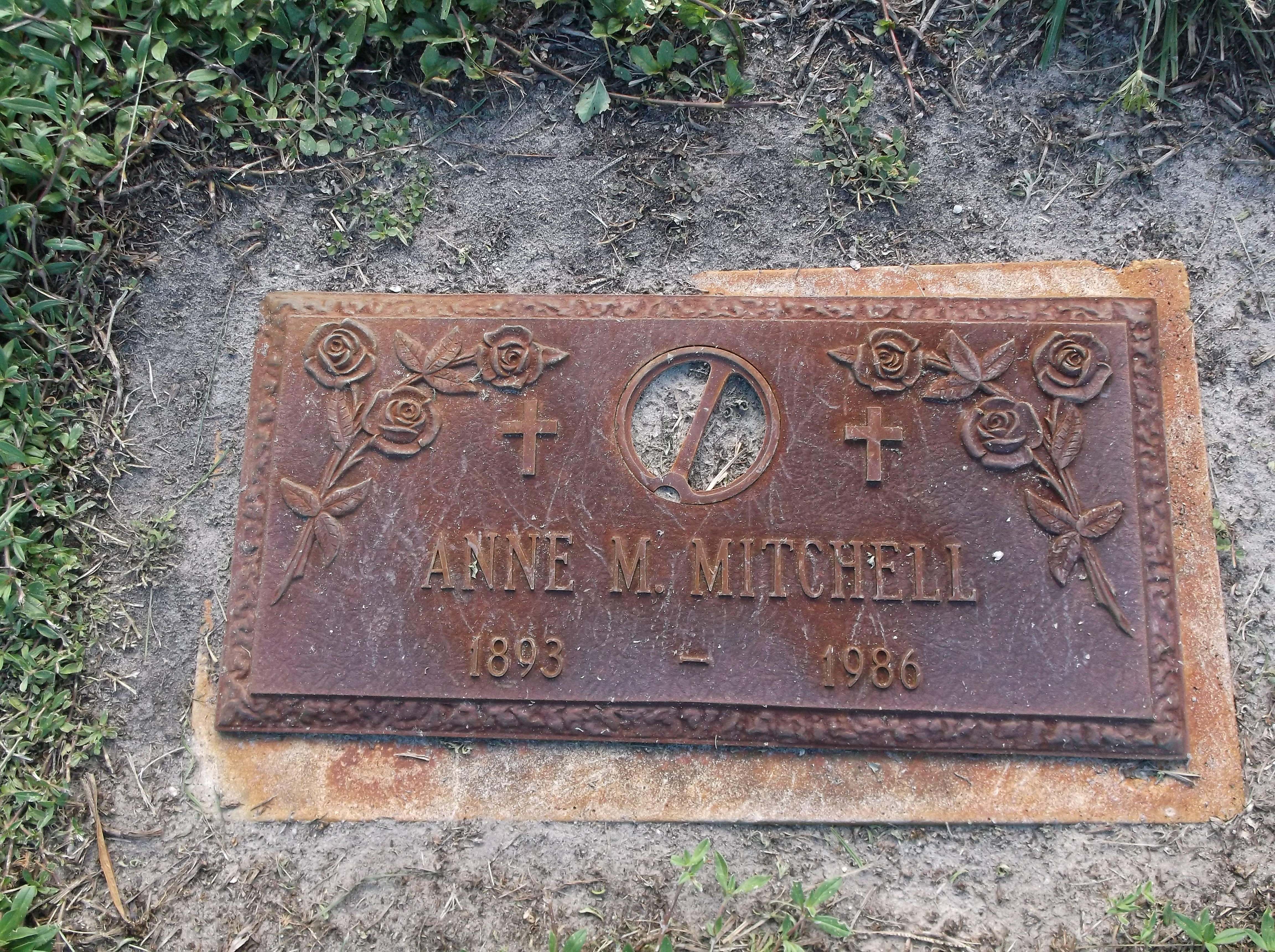 Anne M Mitchell