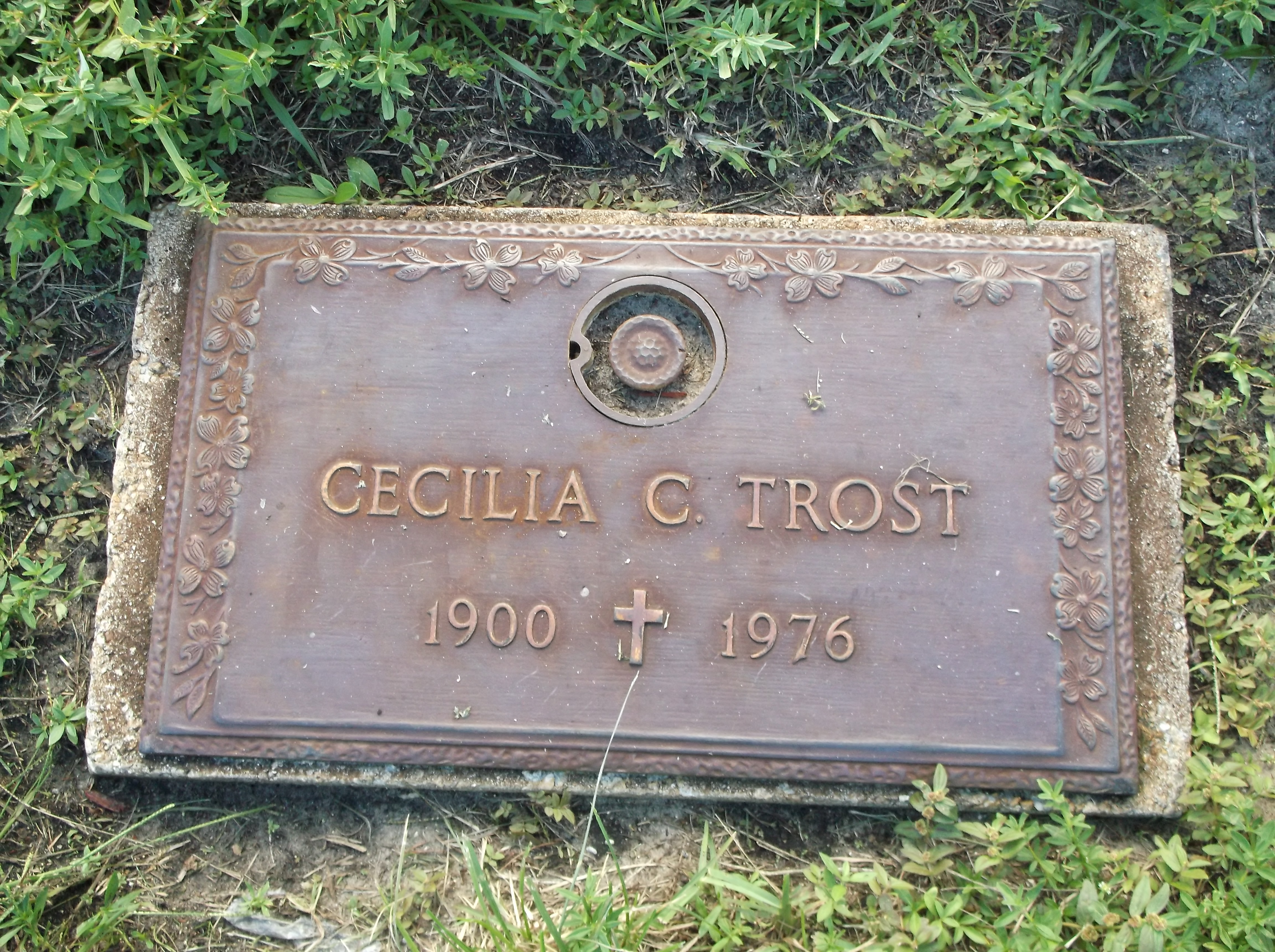 Cecilia C Trost