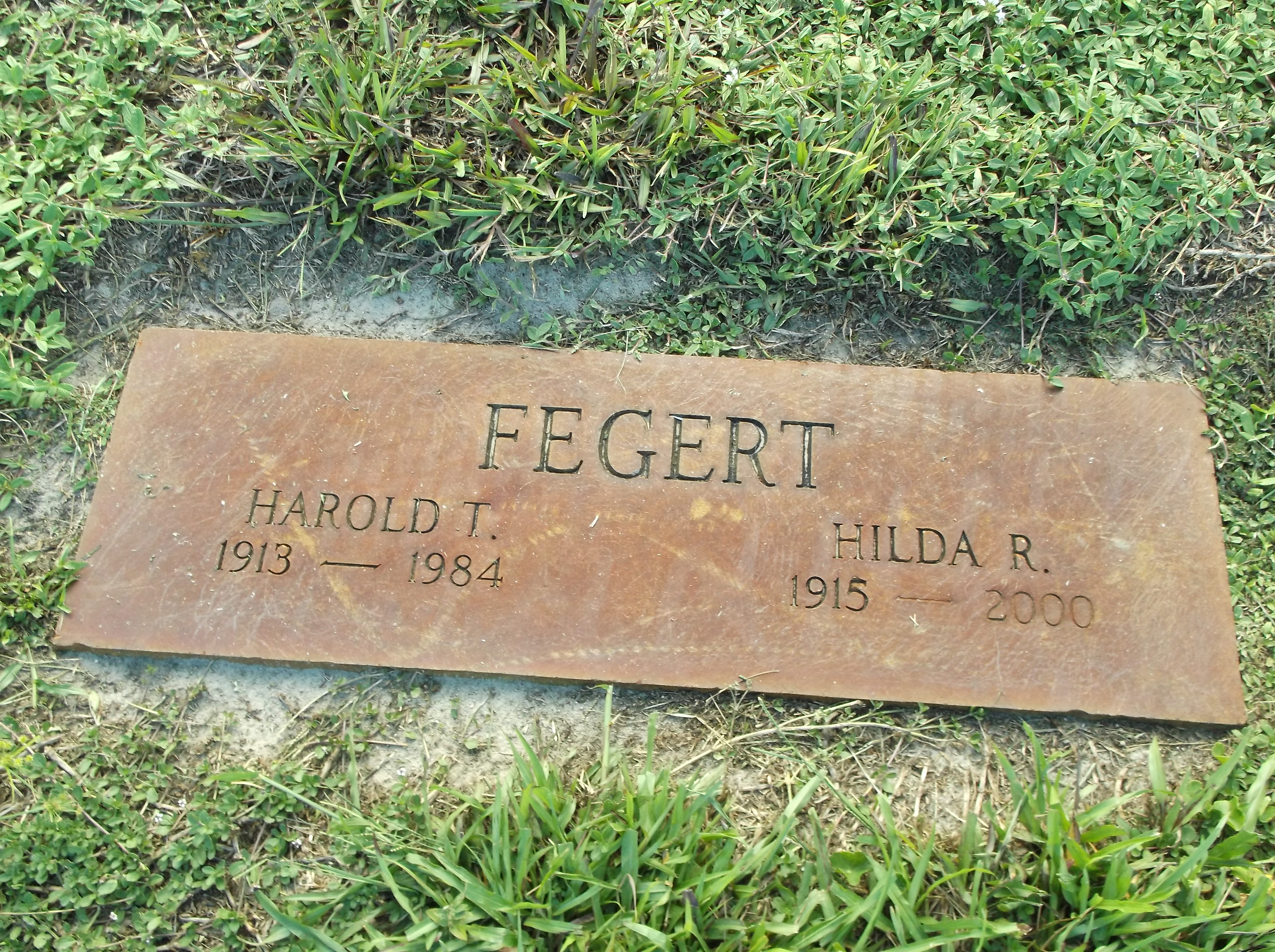 Harold T Fegert