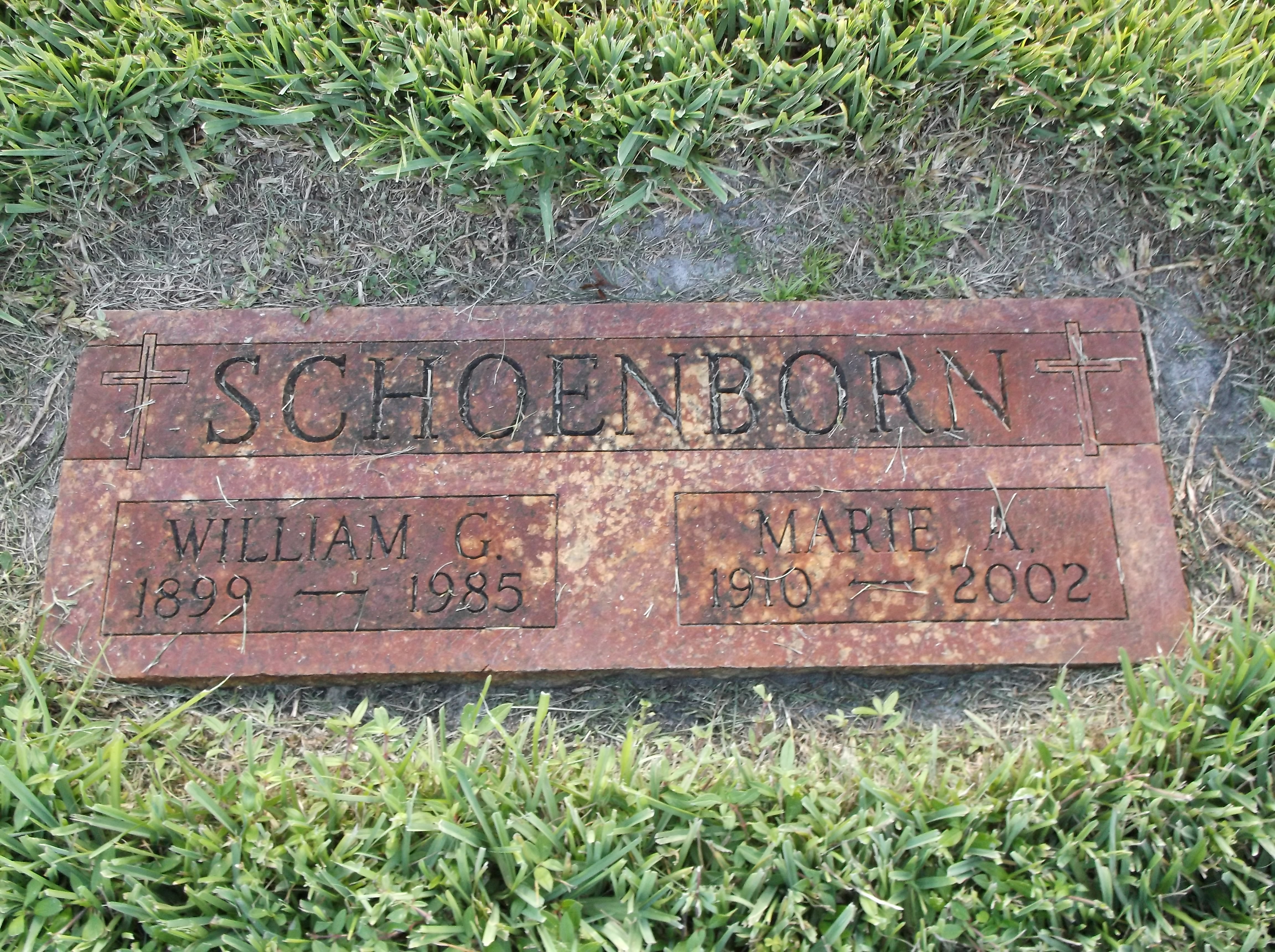 William G Schoenborn