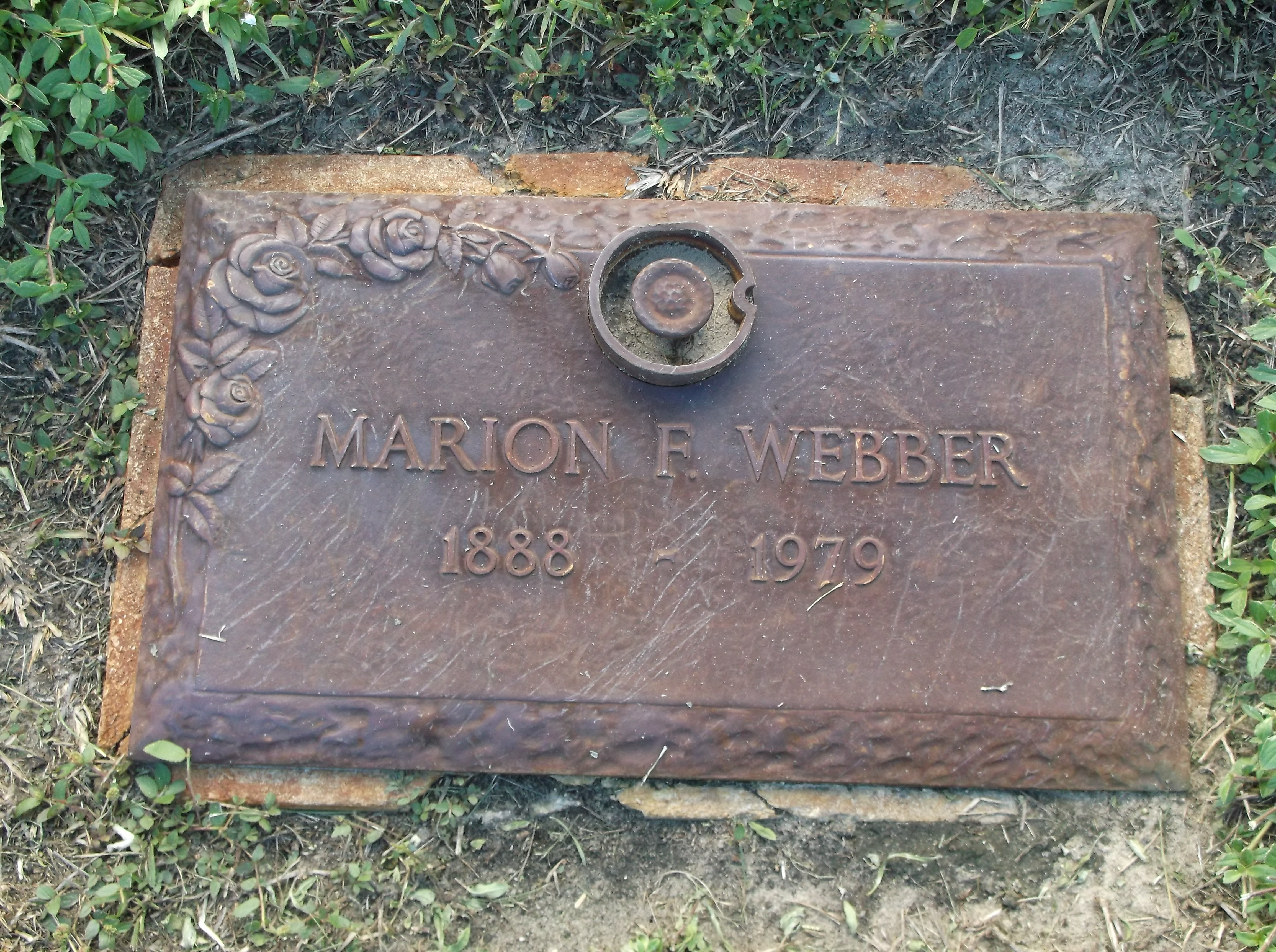 Marion F Webber