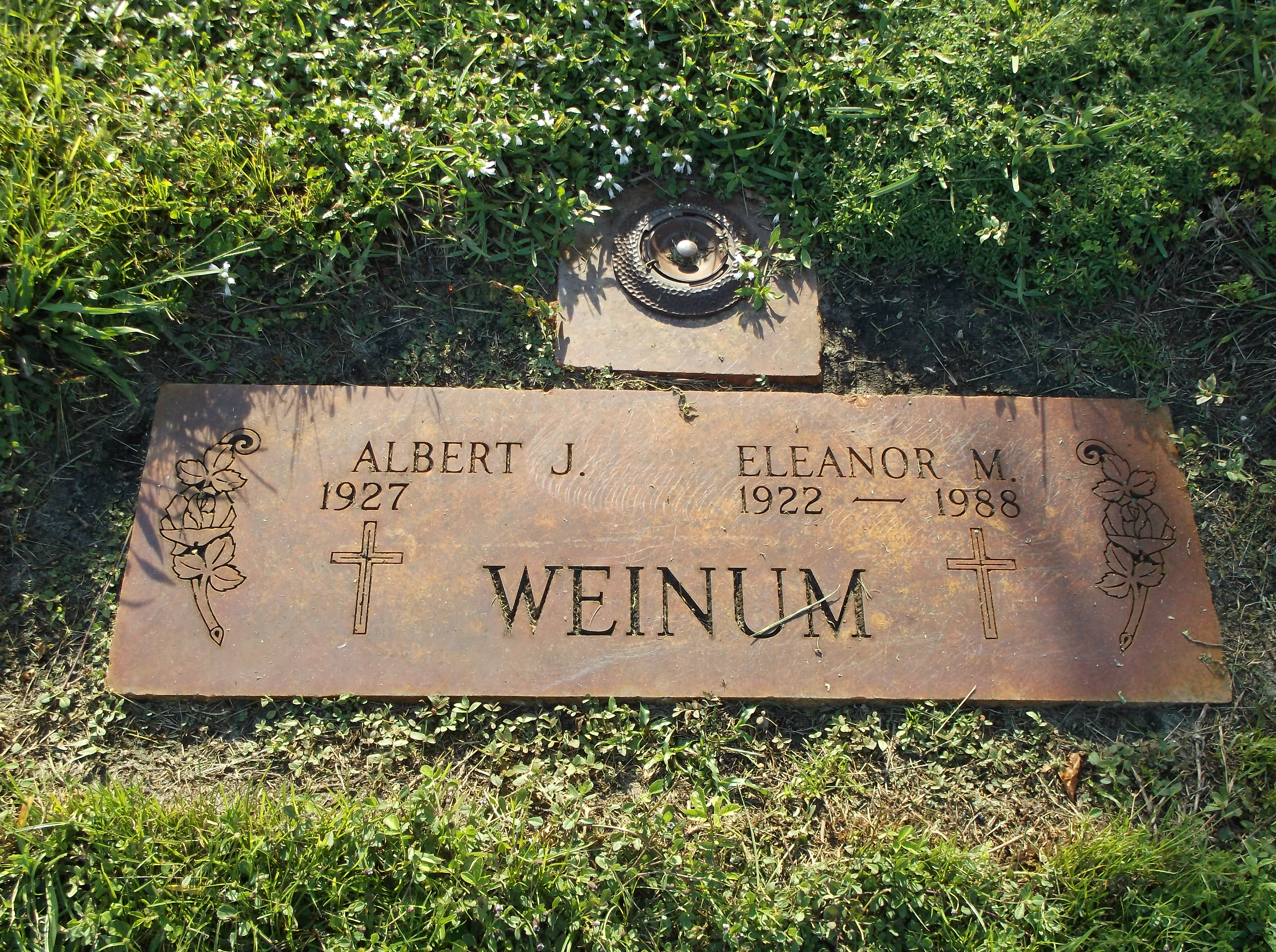 Eleanor M Weinum