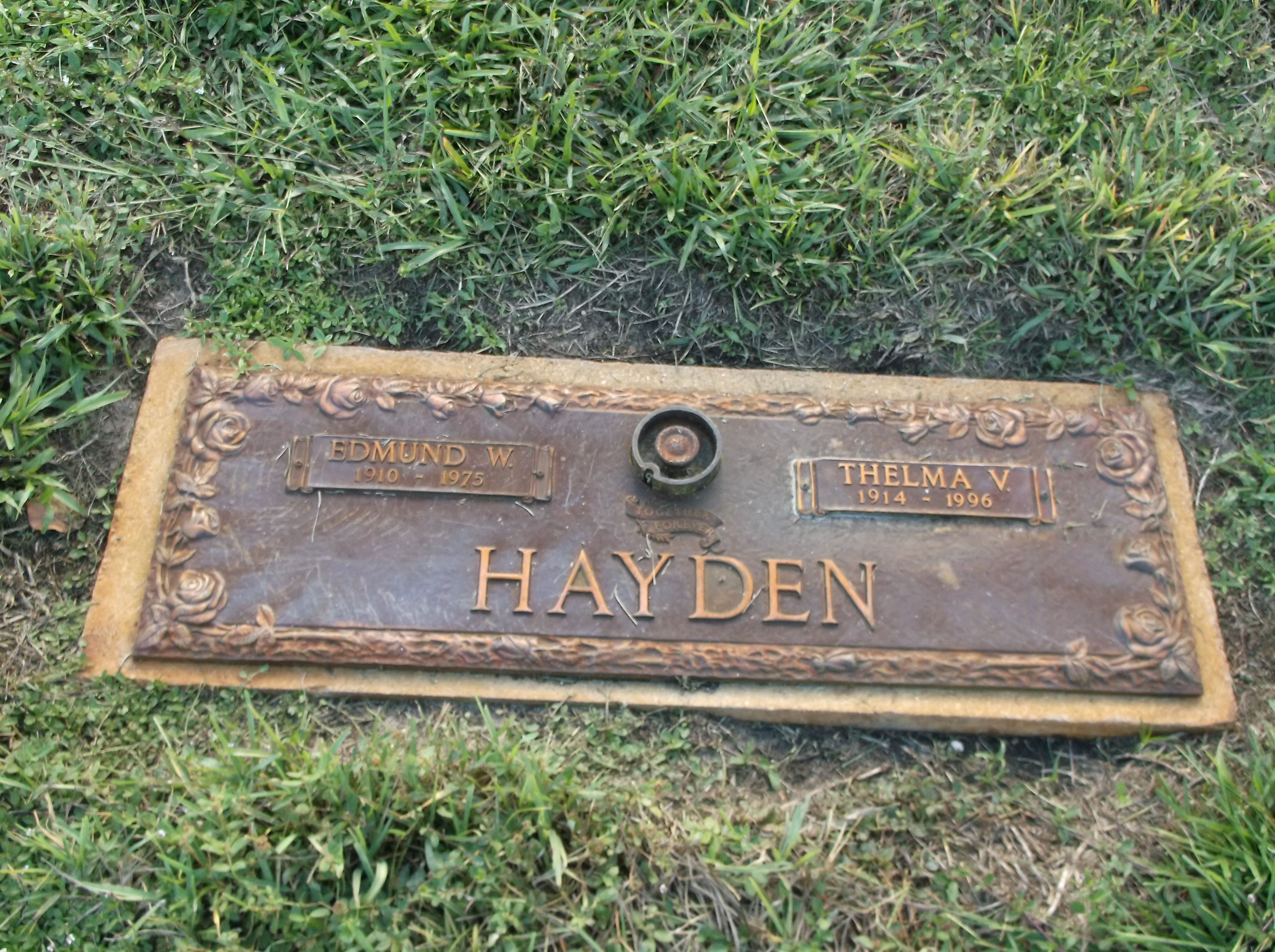 Edmund W Hayden