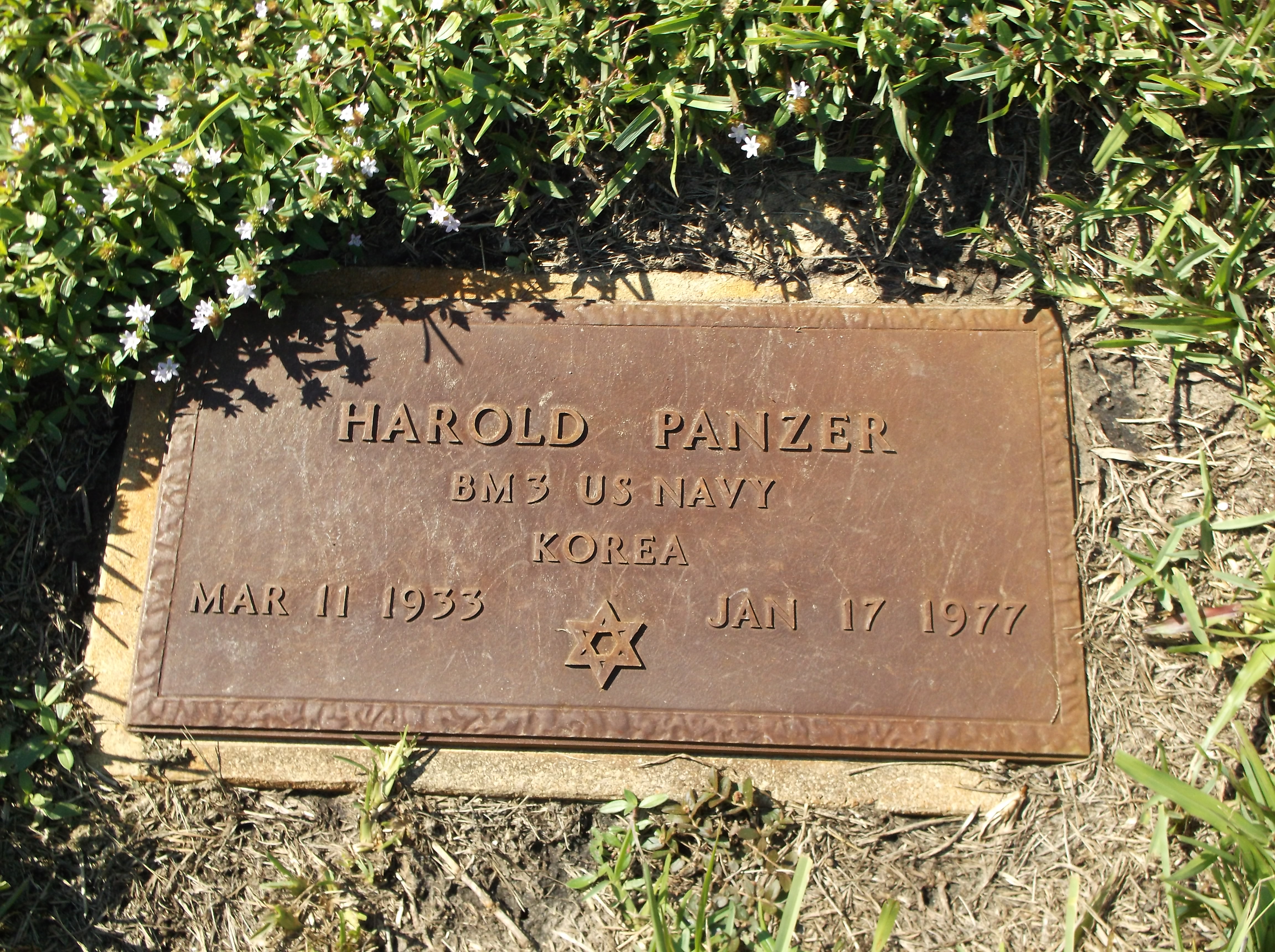 Harold Panzer