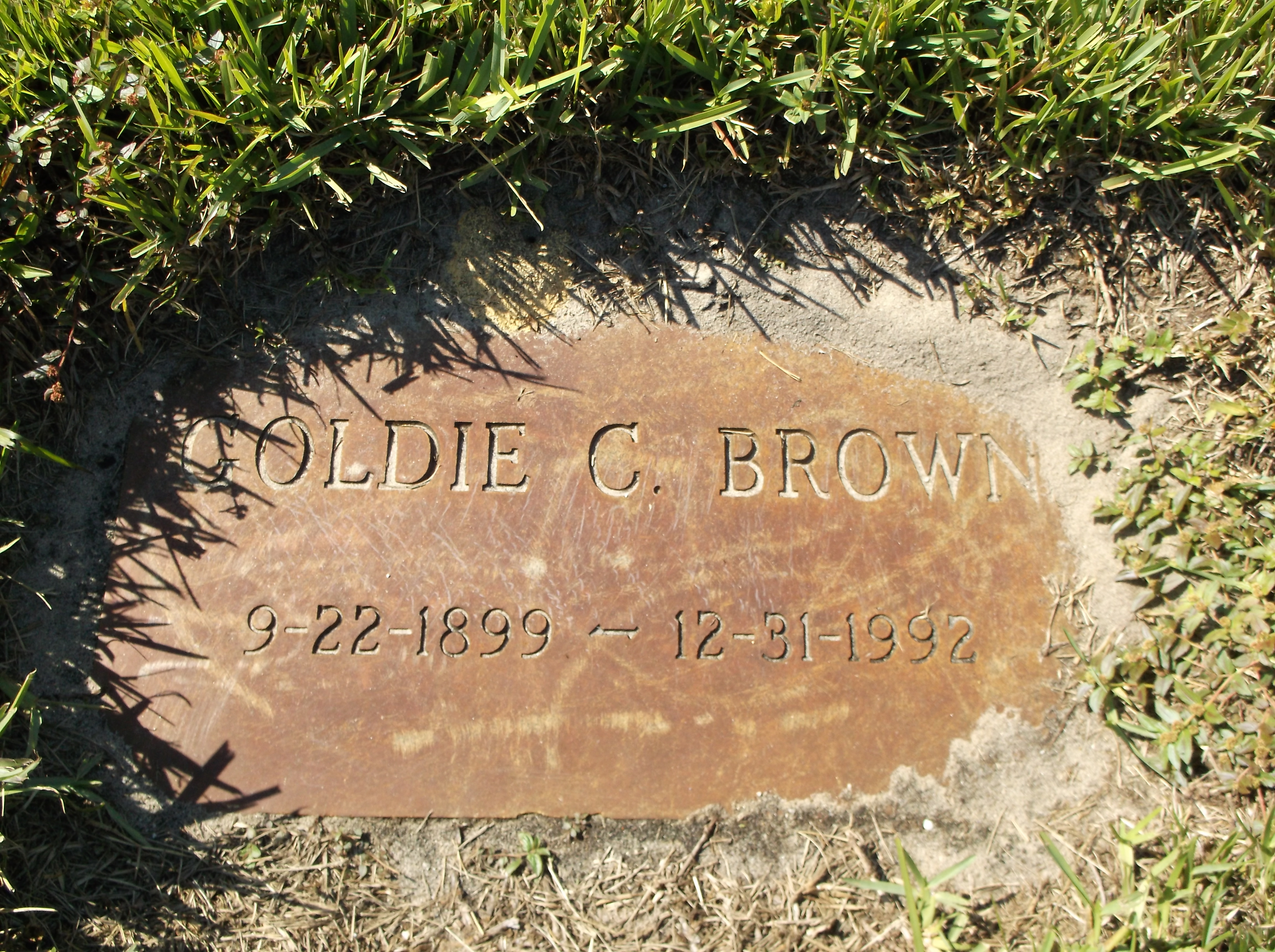 Goldie C Brown