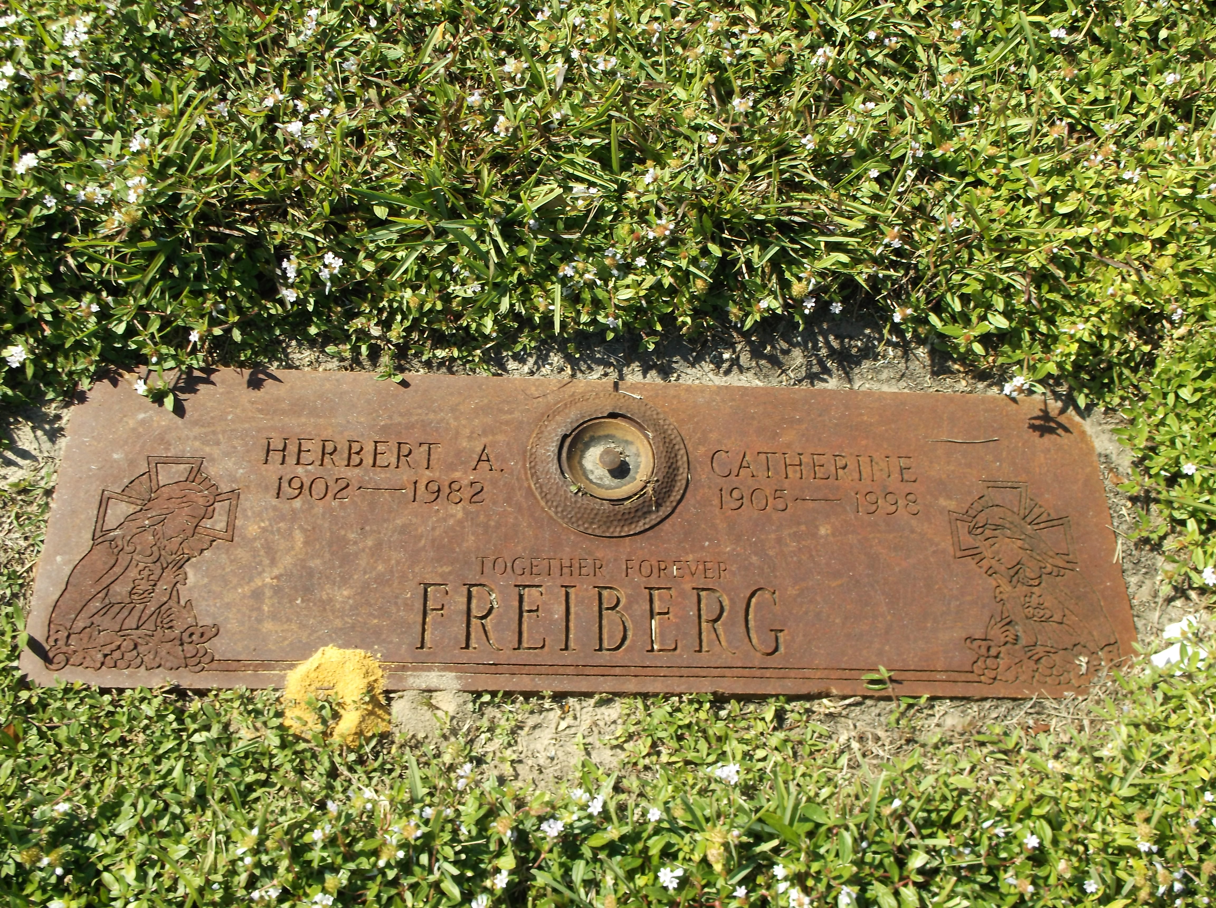 Catherine Freiberg
