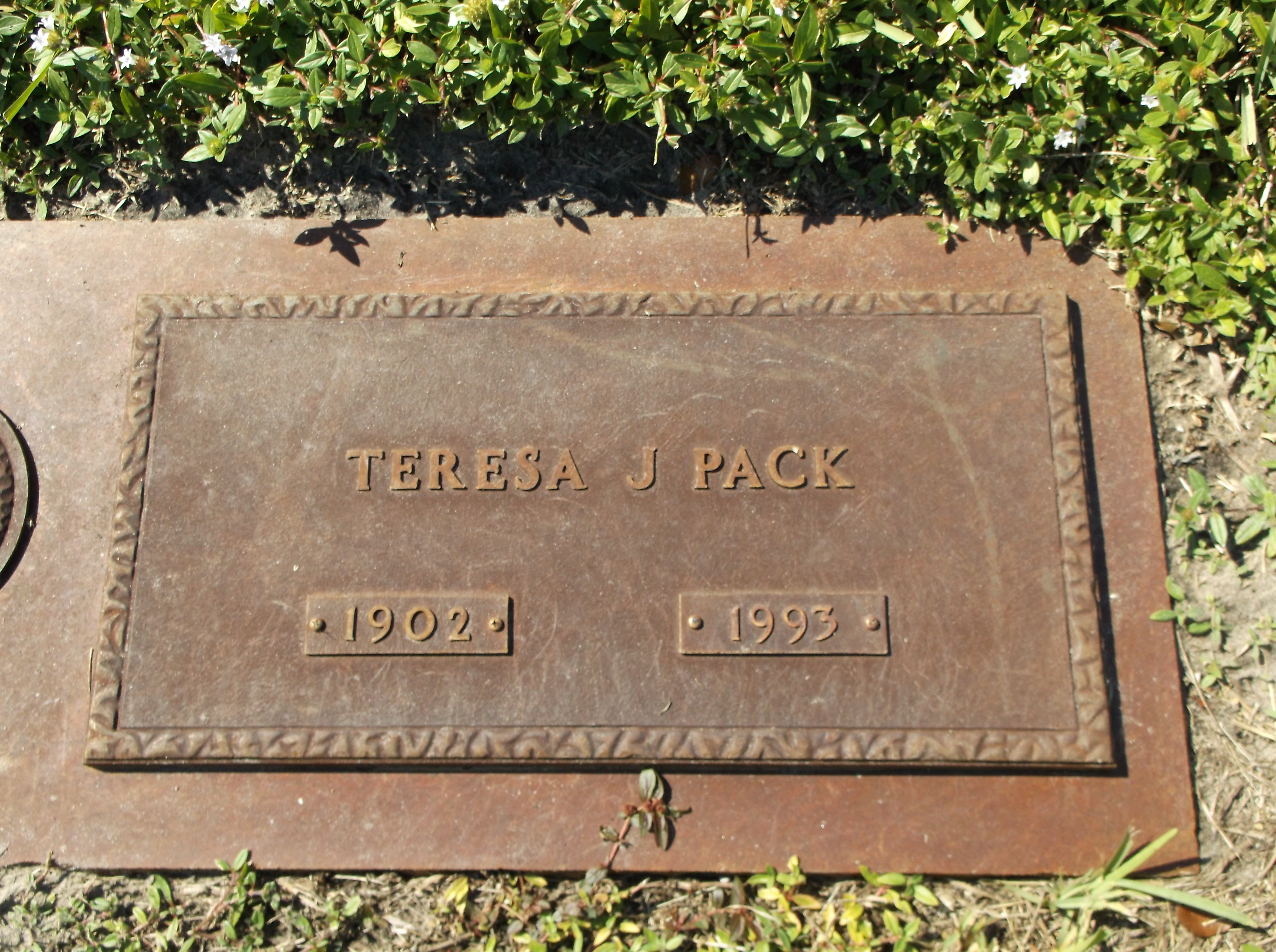 Teresa J Pack