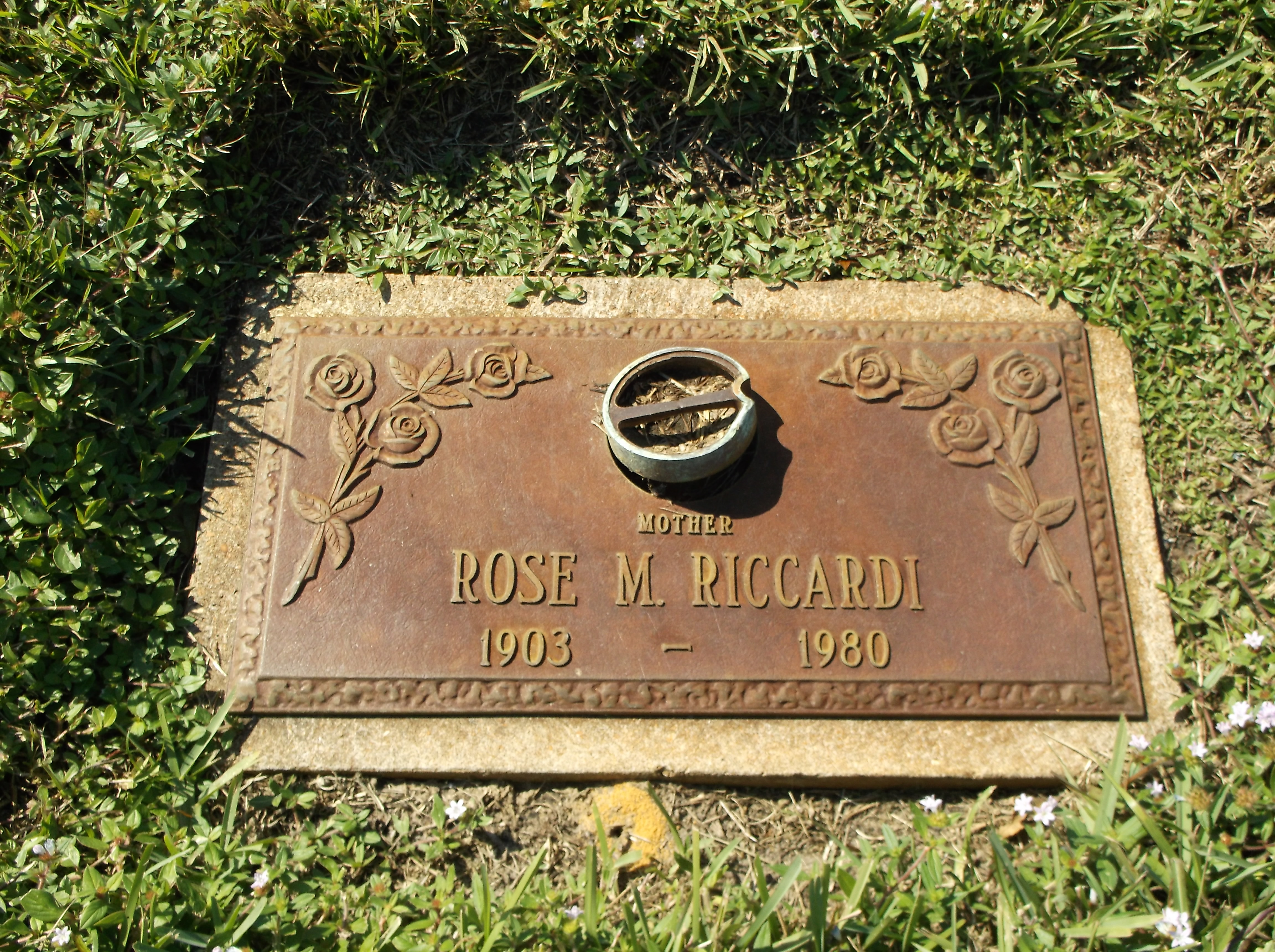 Rose M Riccardi