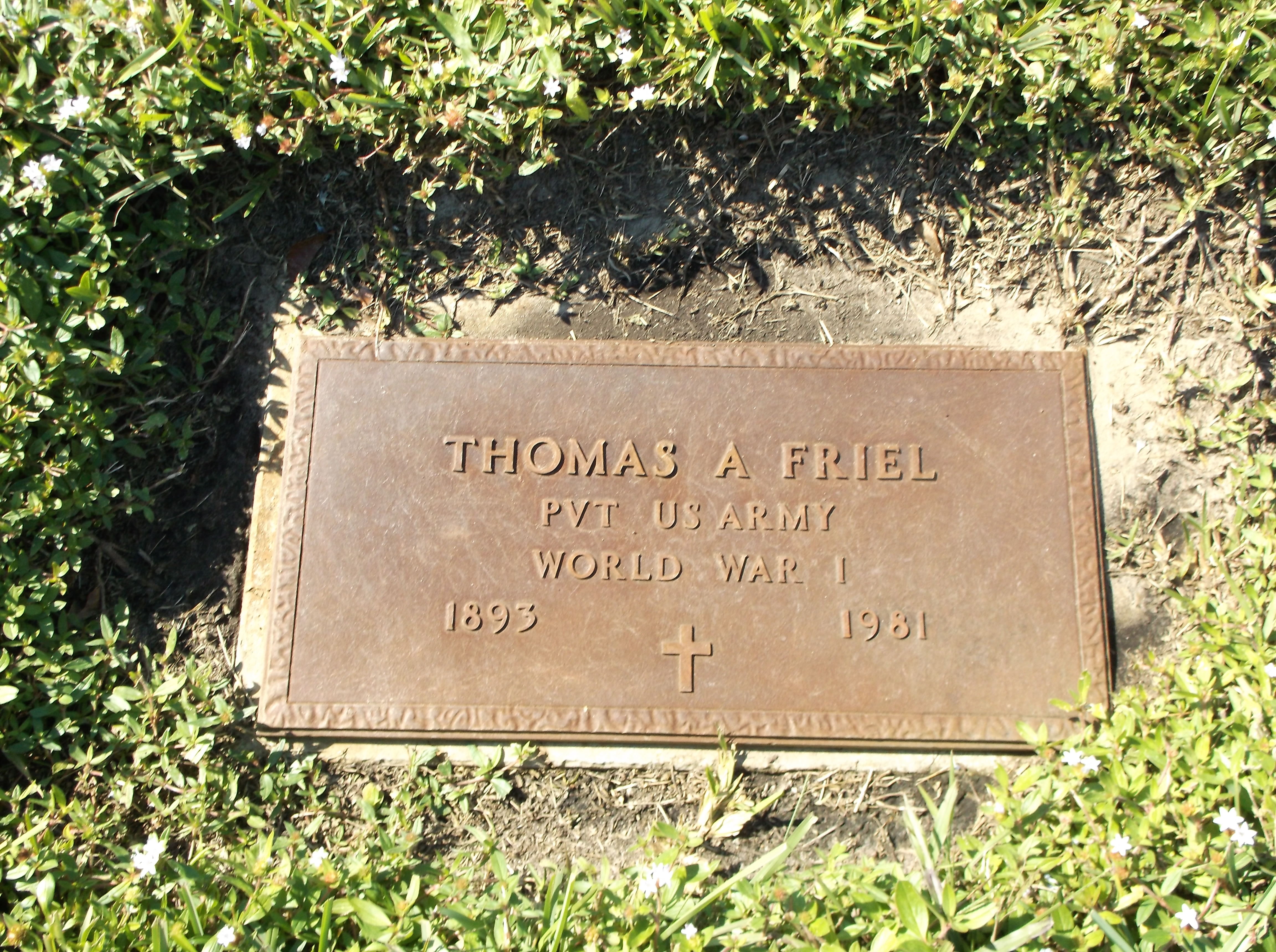 Thomas A Friel