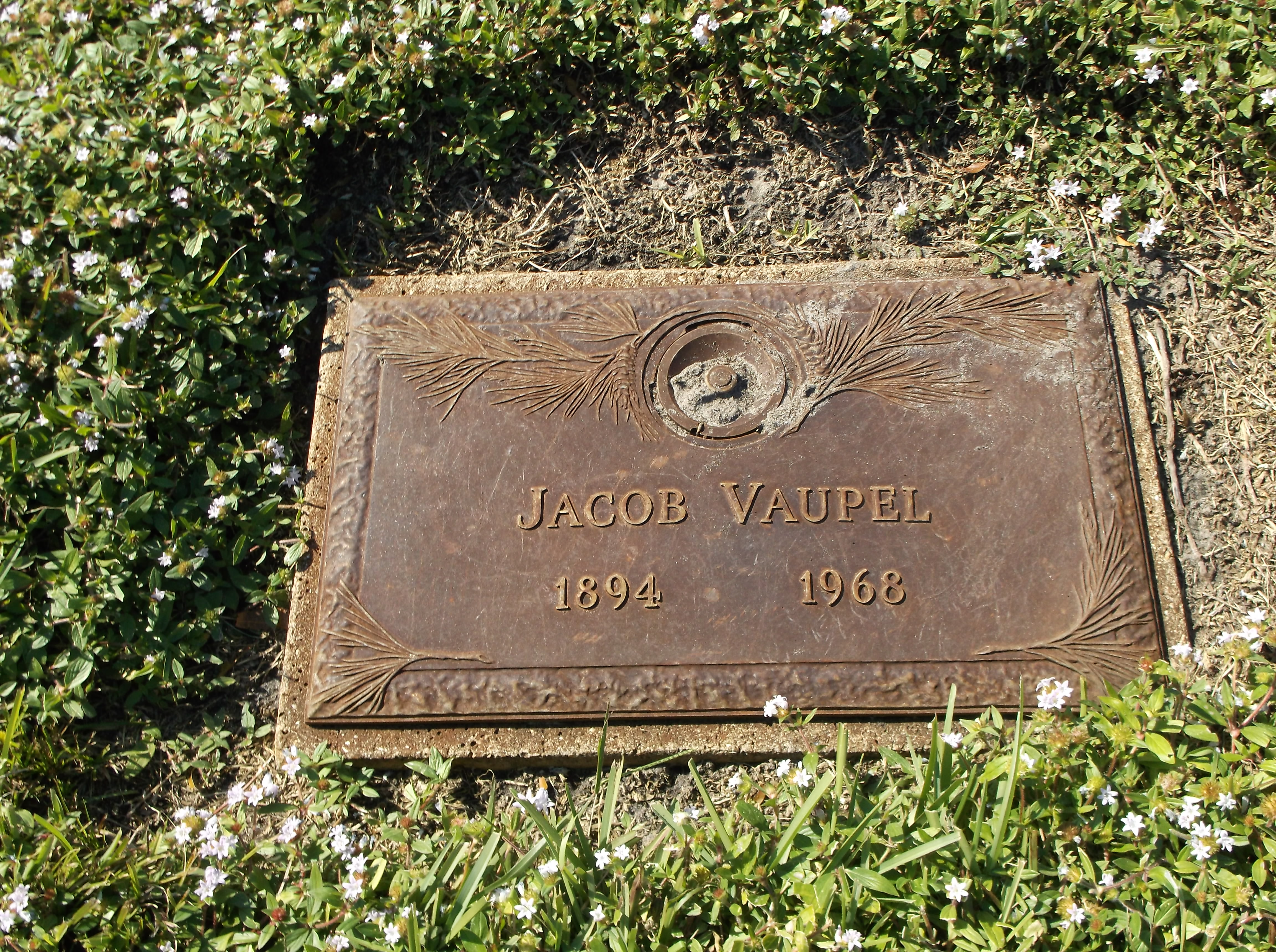 Jacob Vaupel