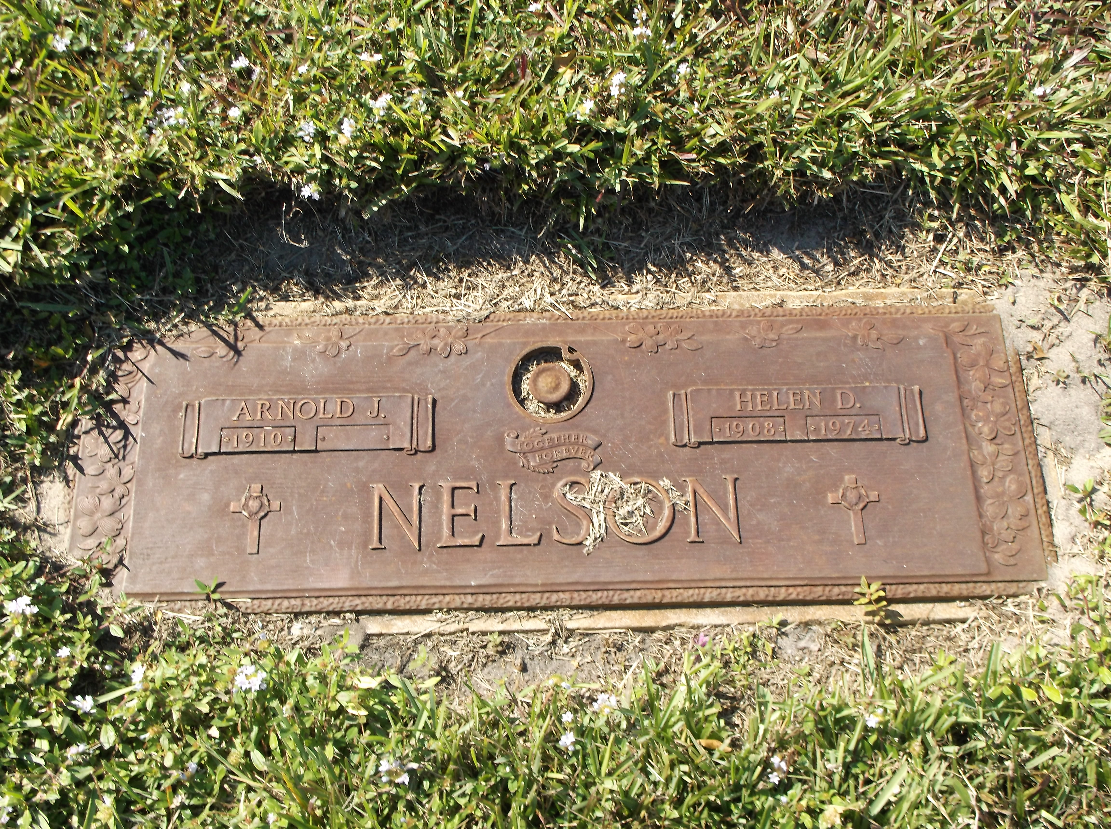 Arnold J Nelson