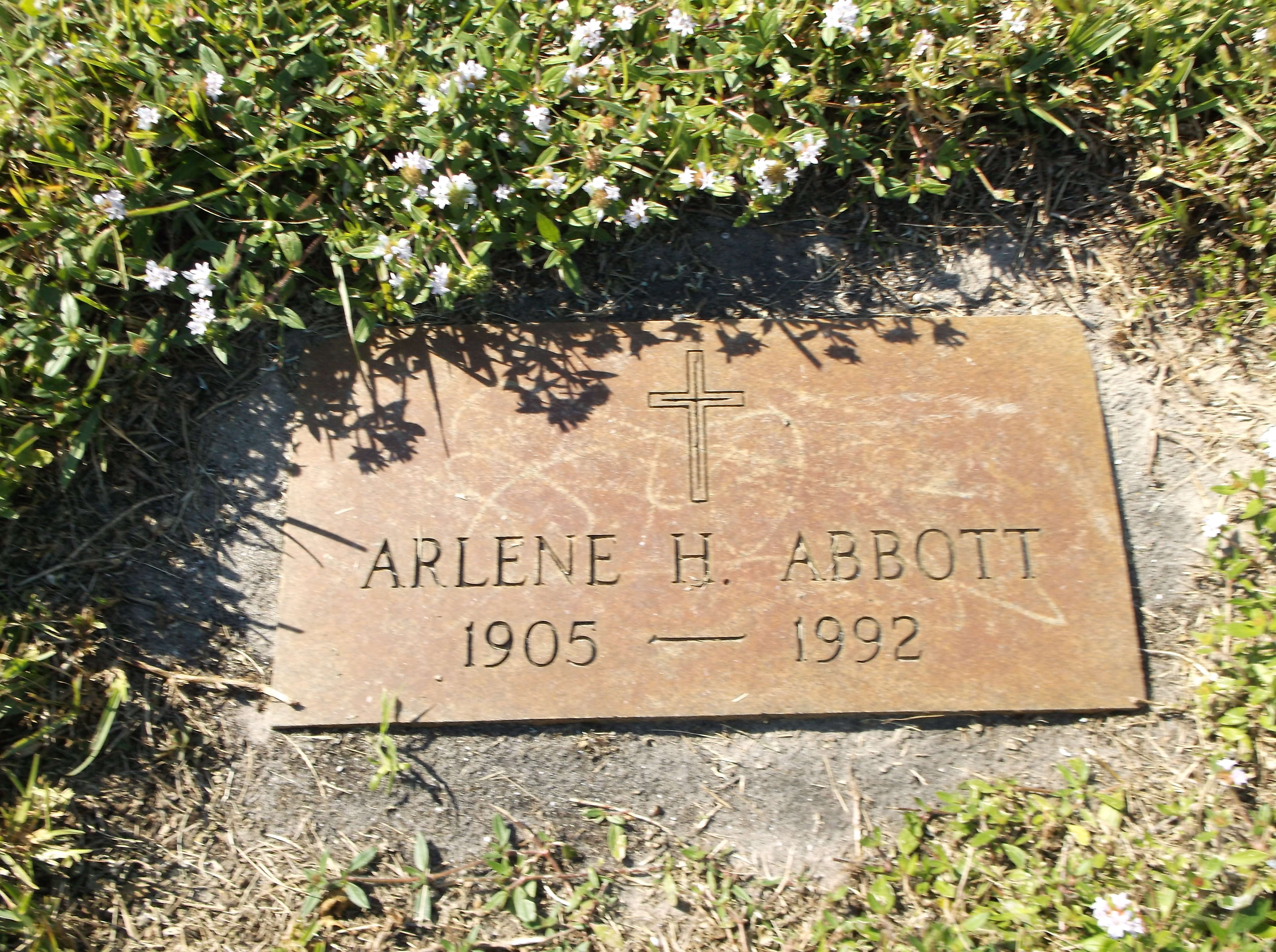 Arlene H Abbott