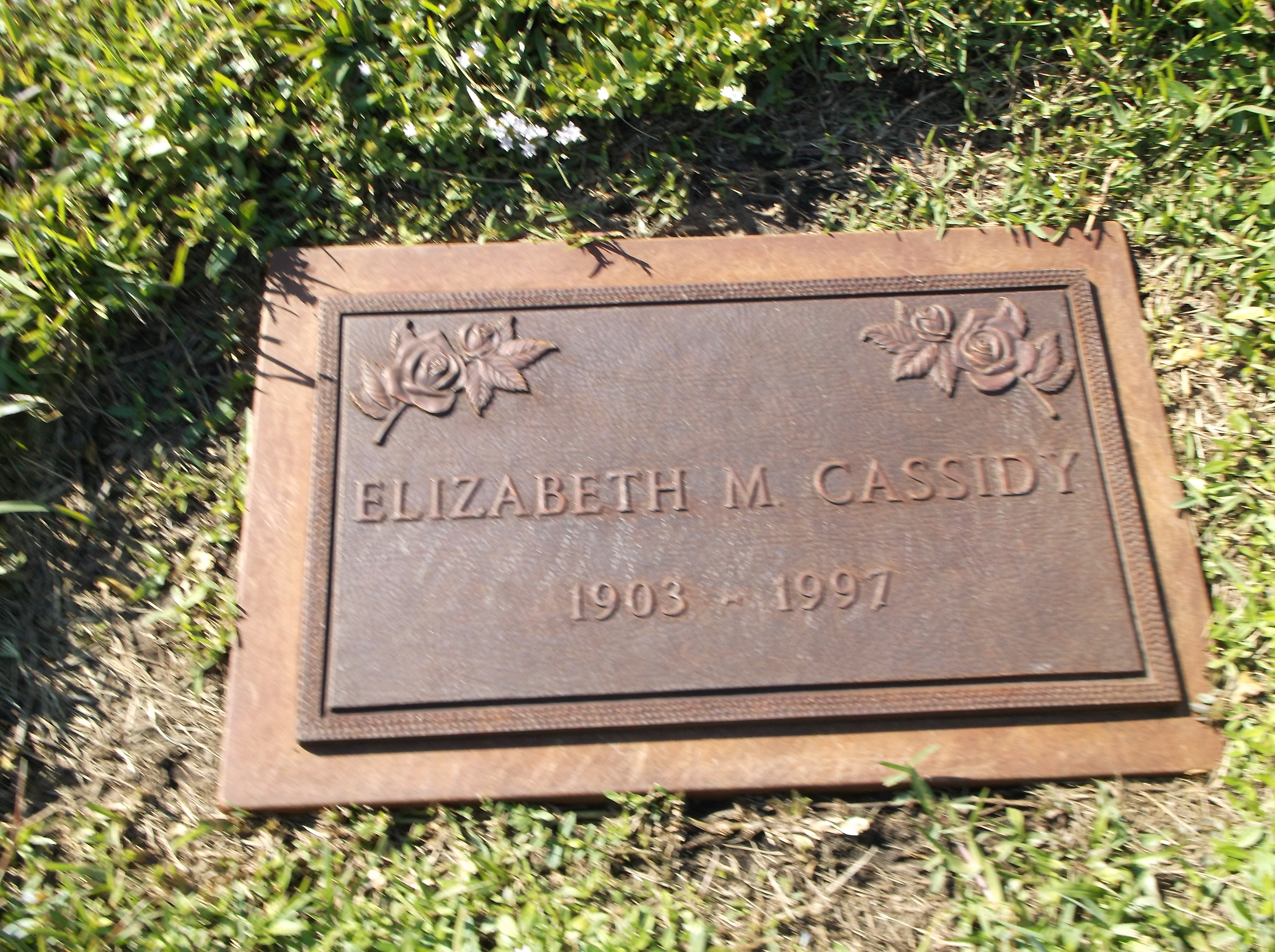 Elizabeth M Cassidy