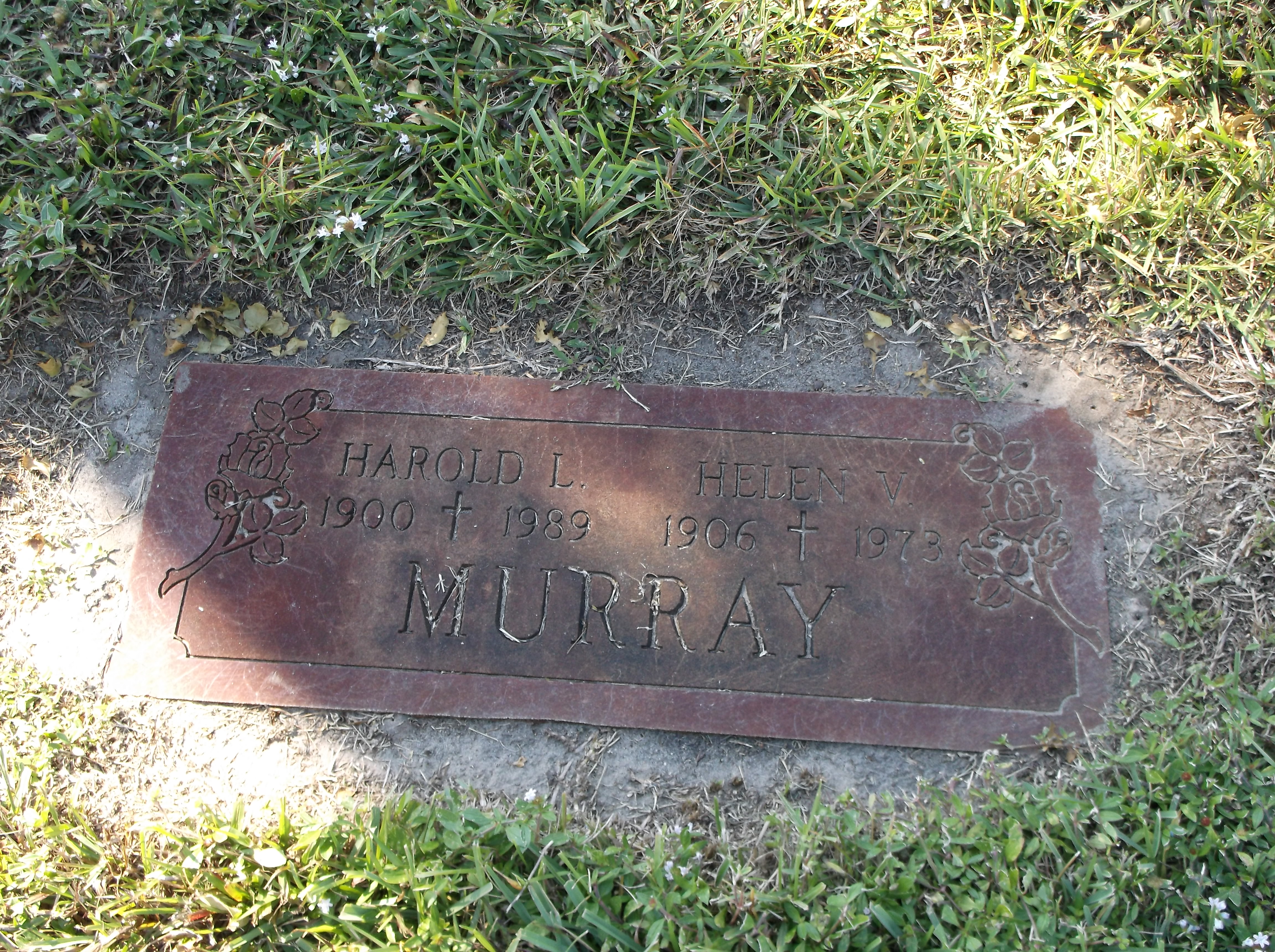Helen V Murray