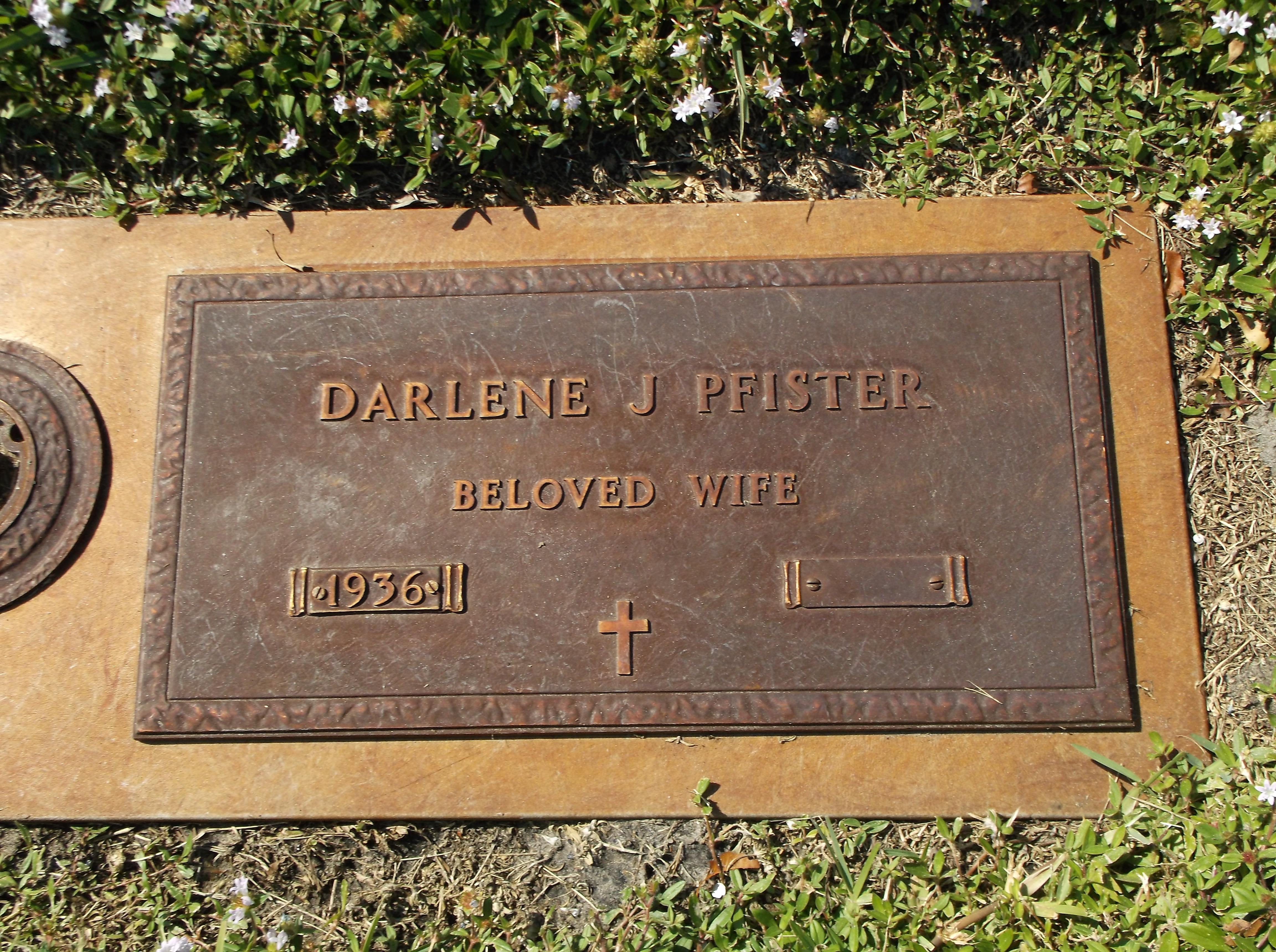 Darlene J Pfister