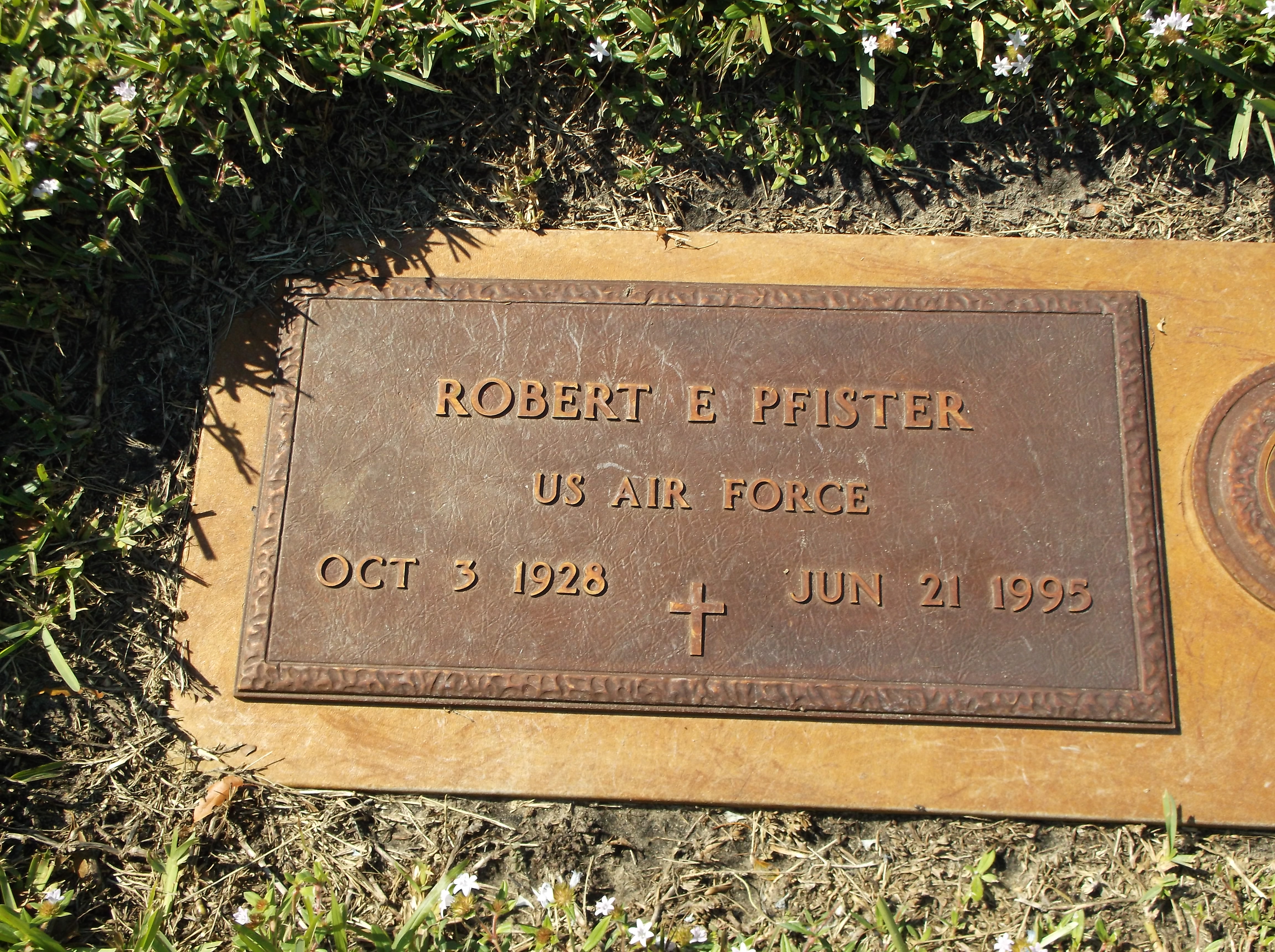 Robert E Pfister