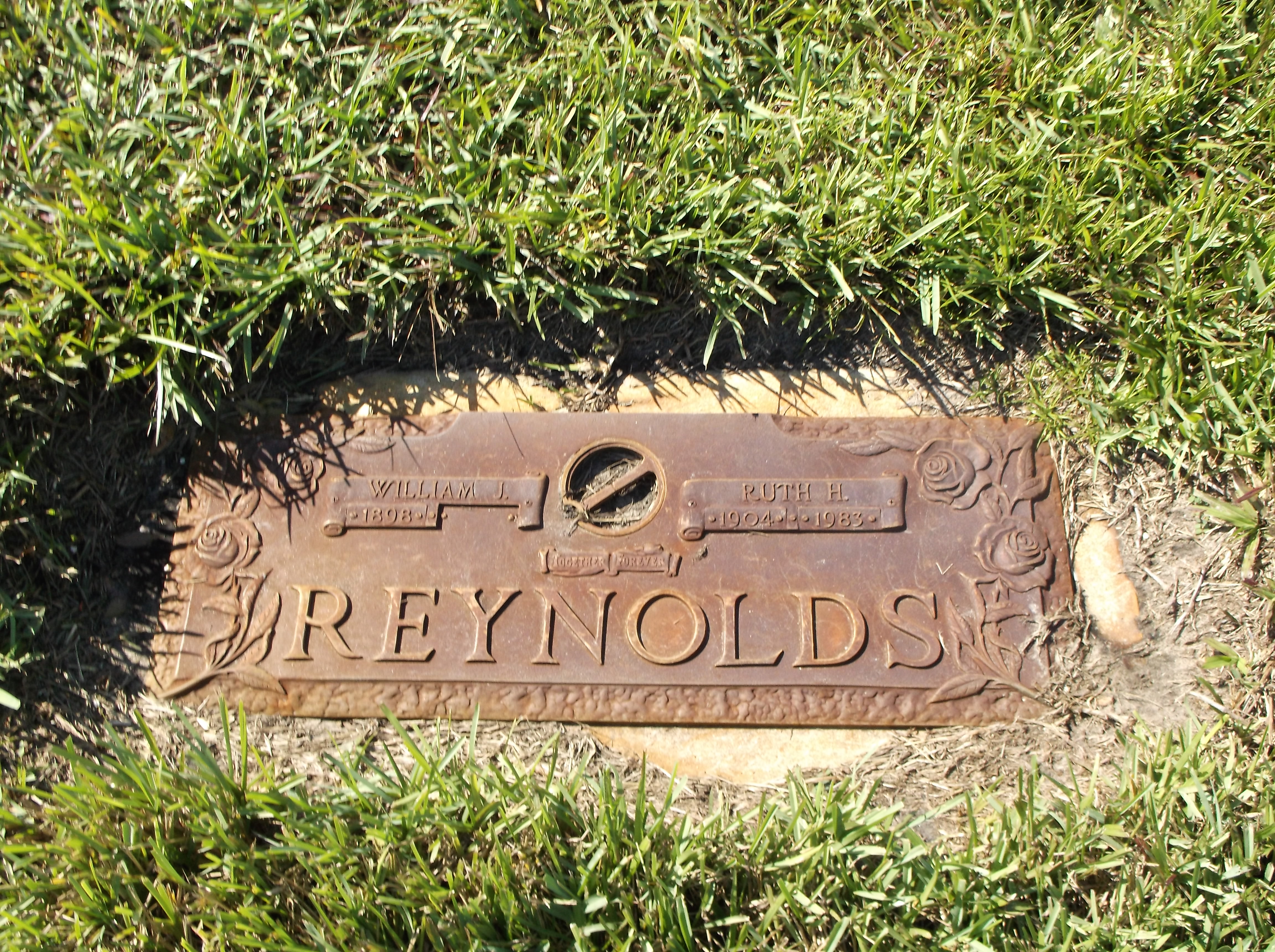 William J Reynolds