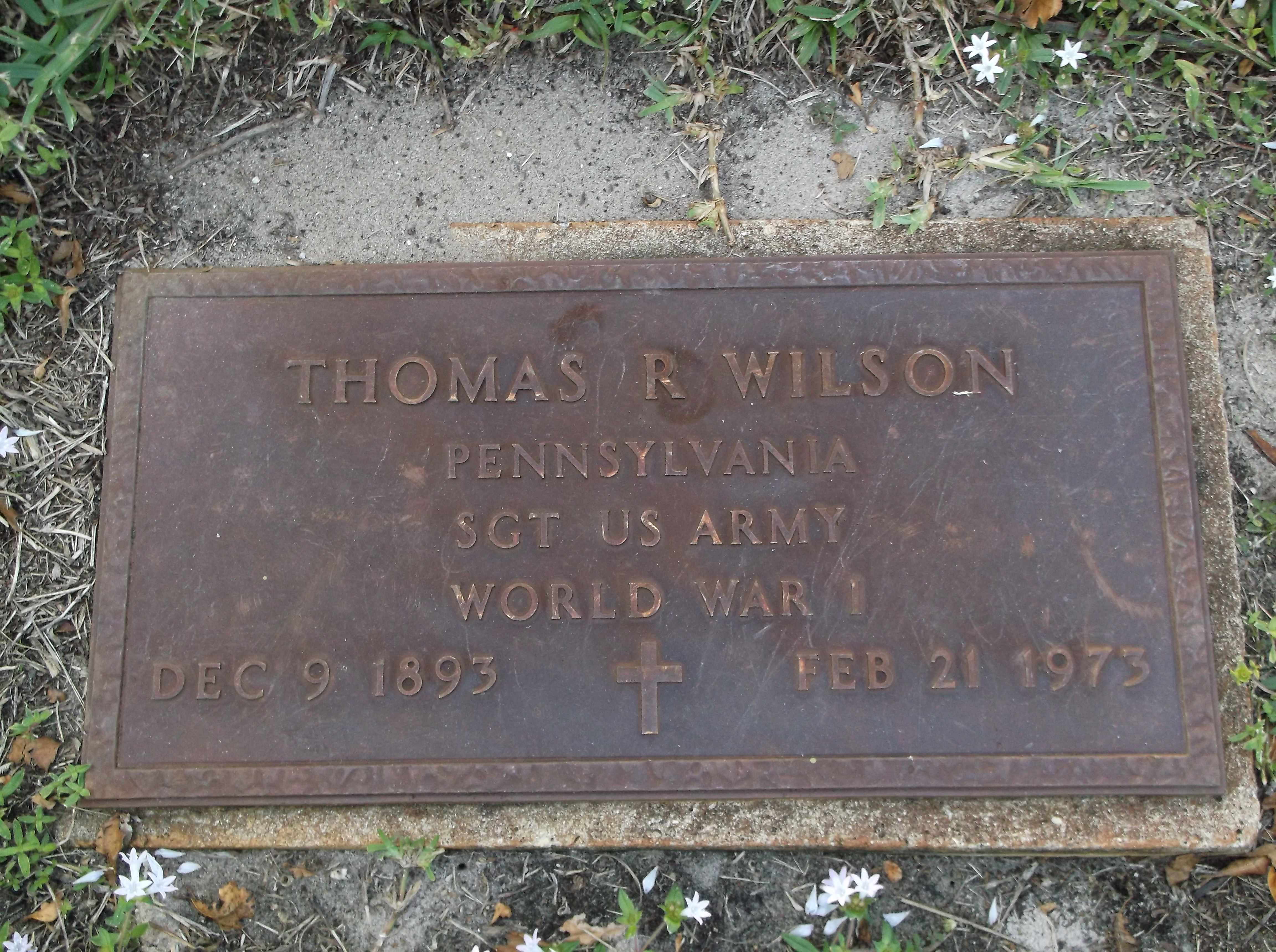 Thomas R Wilson