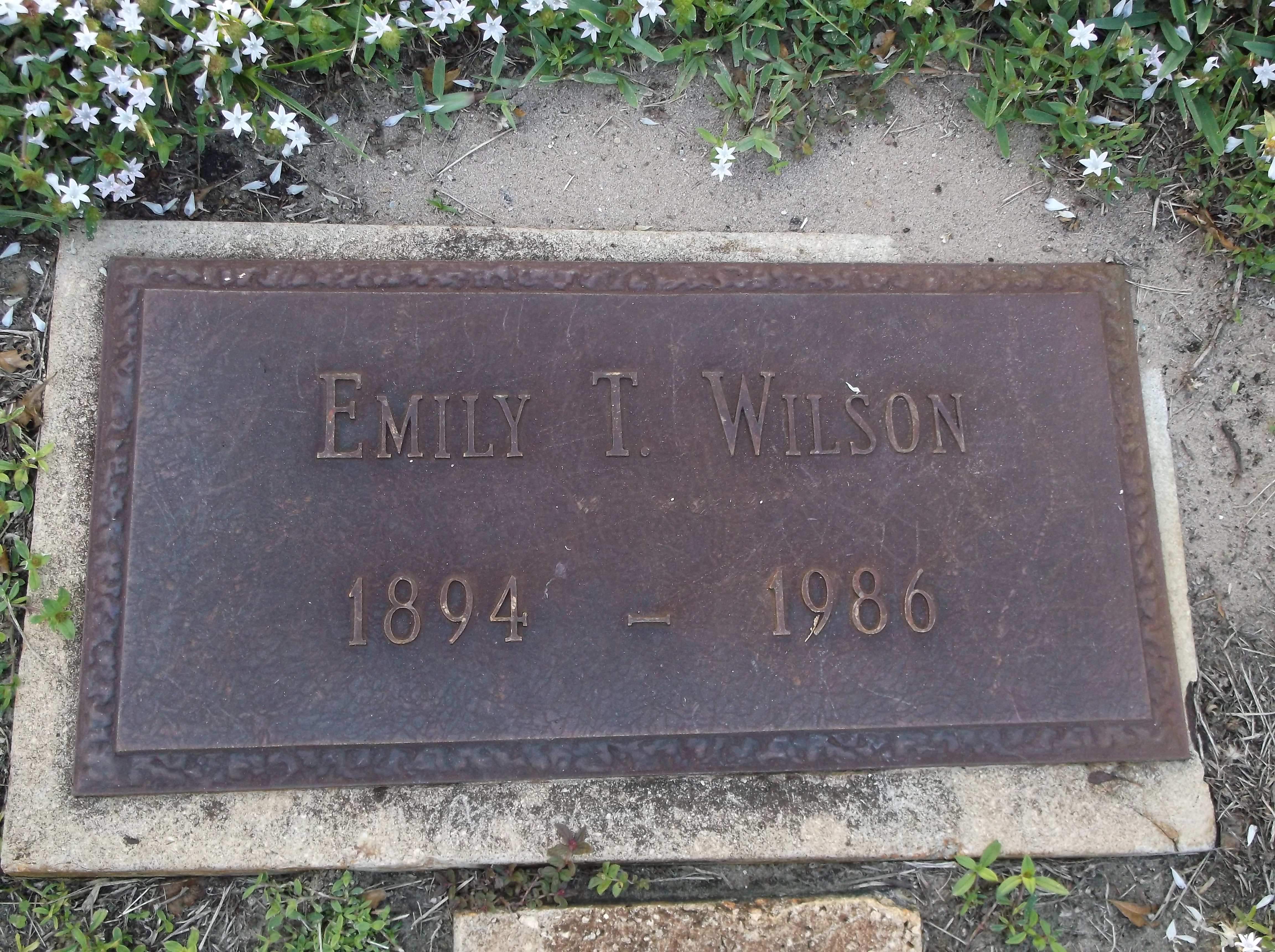Emily T Wilson