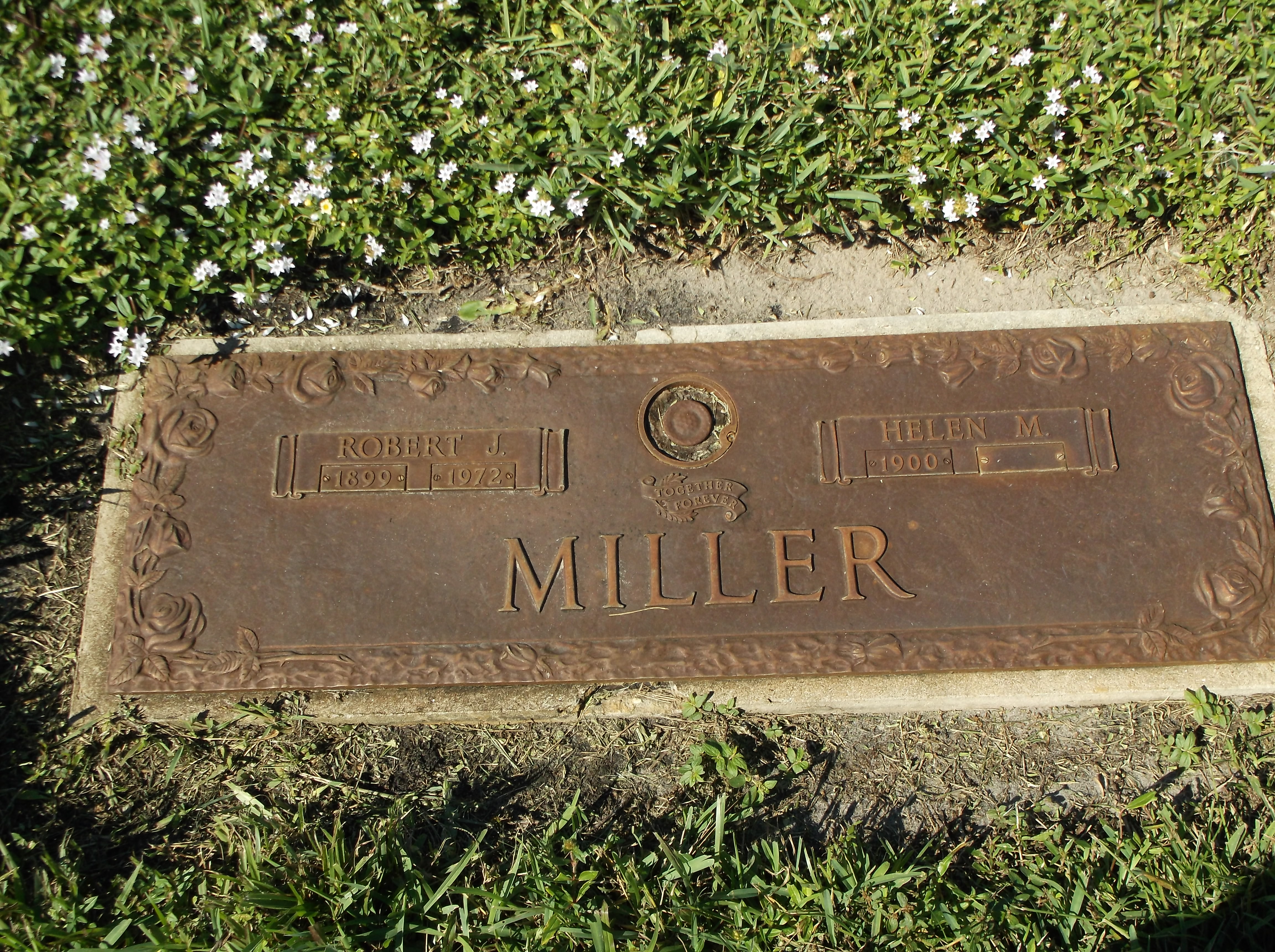 Robert J Miller