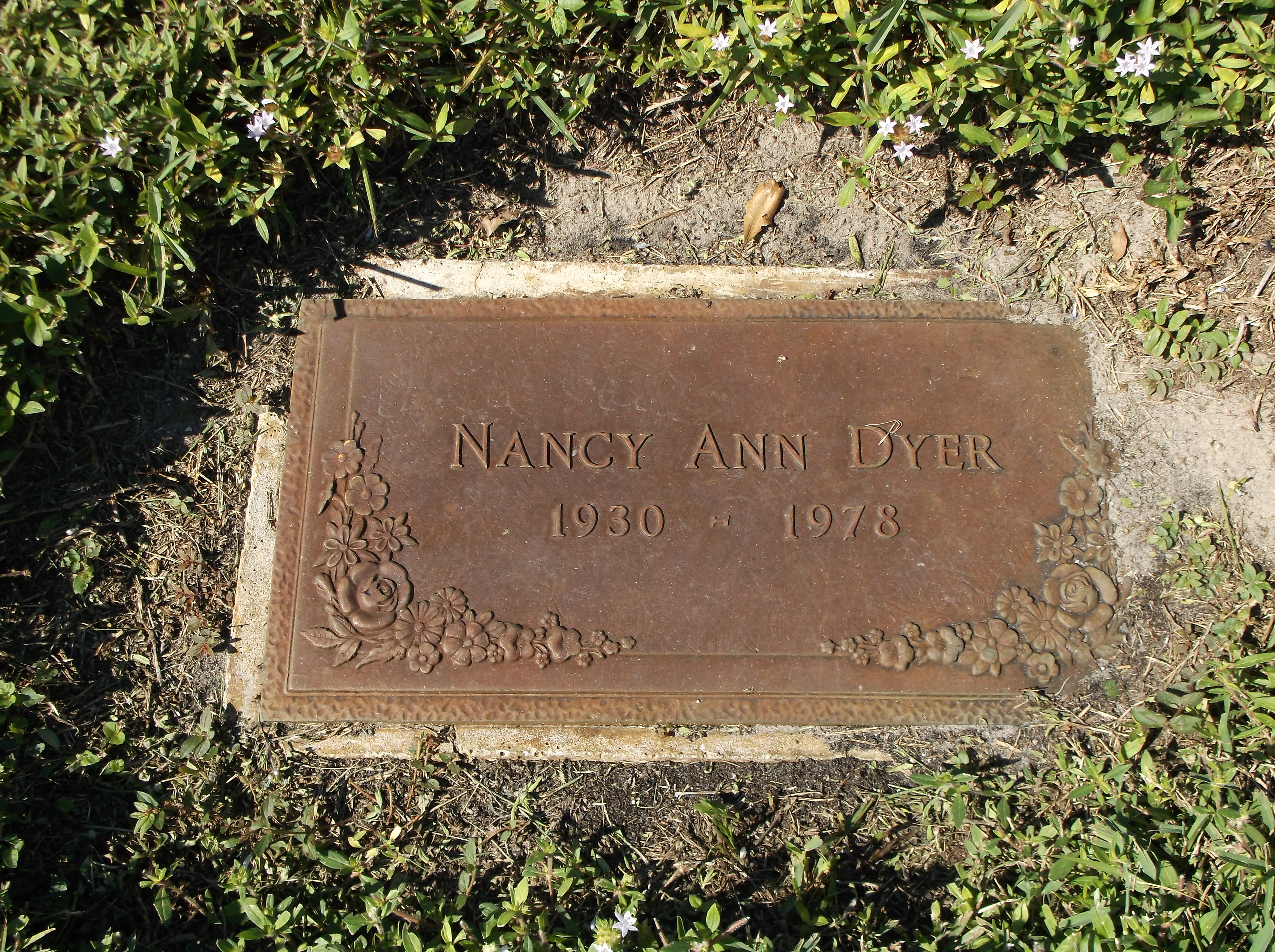Nancy Ann Dyer