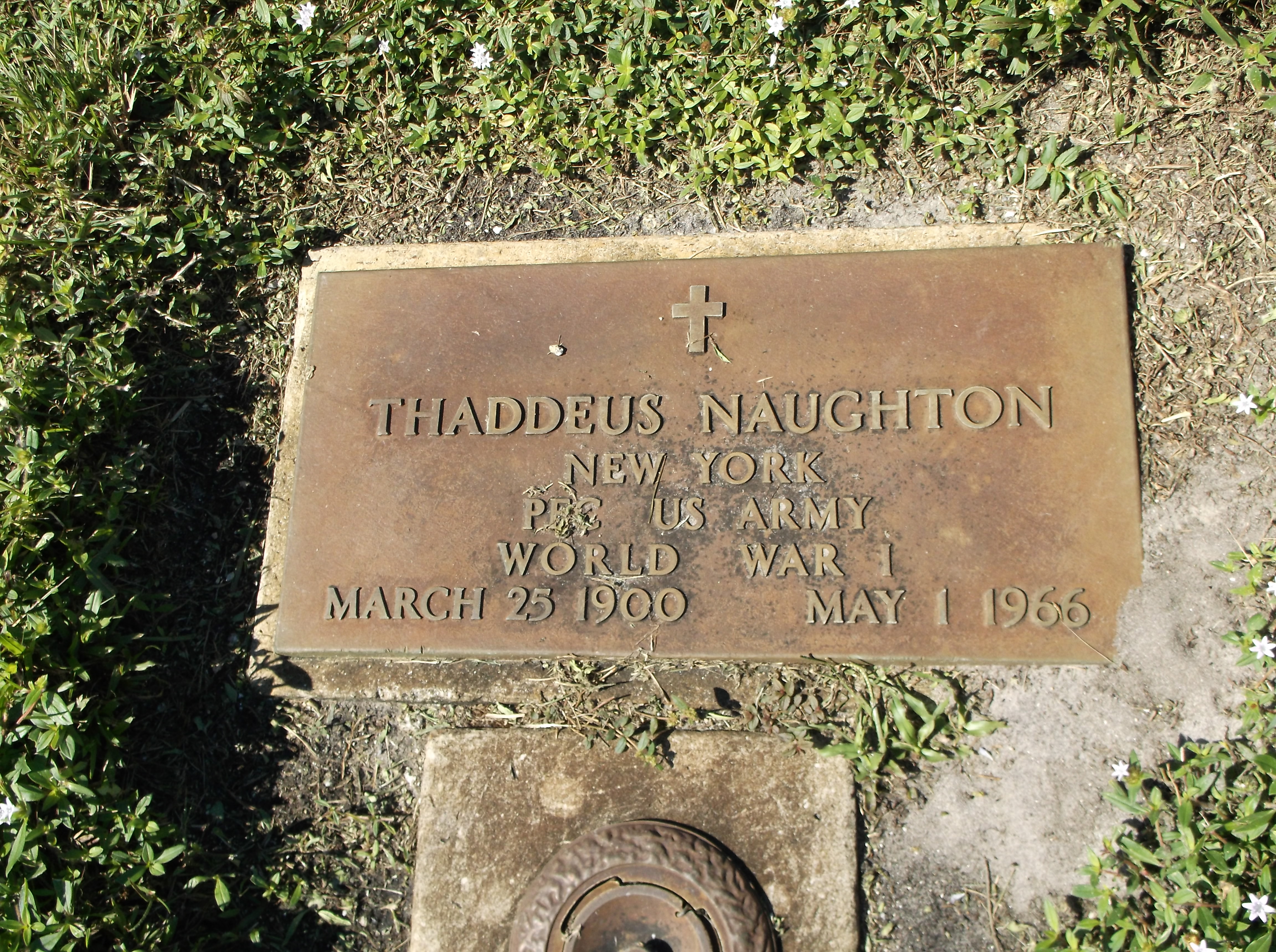 Thaddeus Naughton
