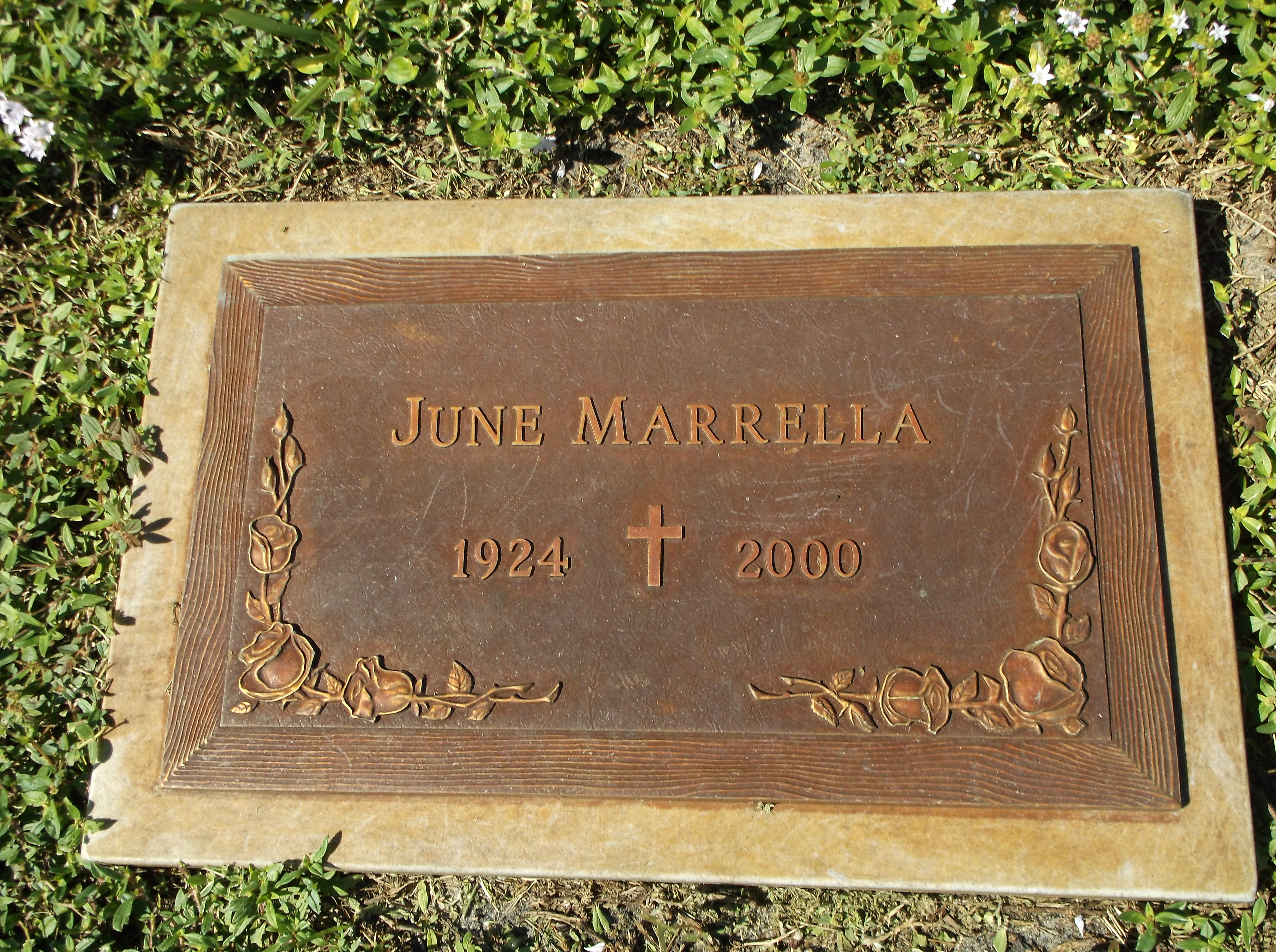 June Marrella