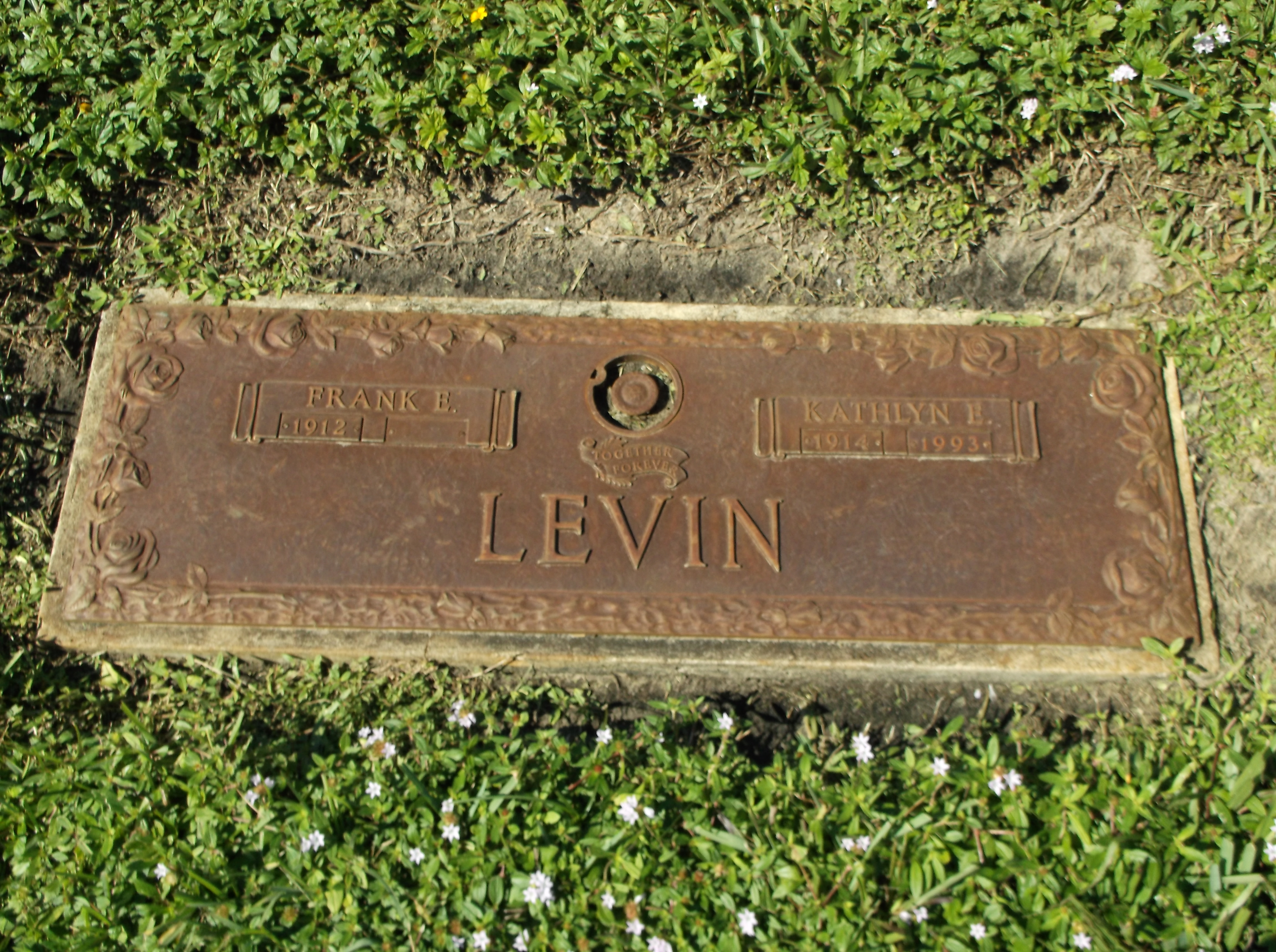 Kathlyn E Levin