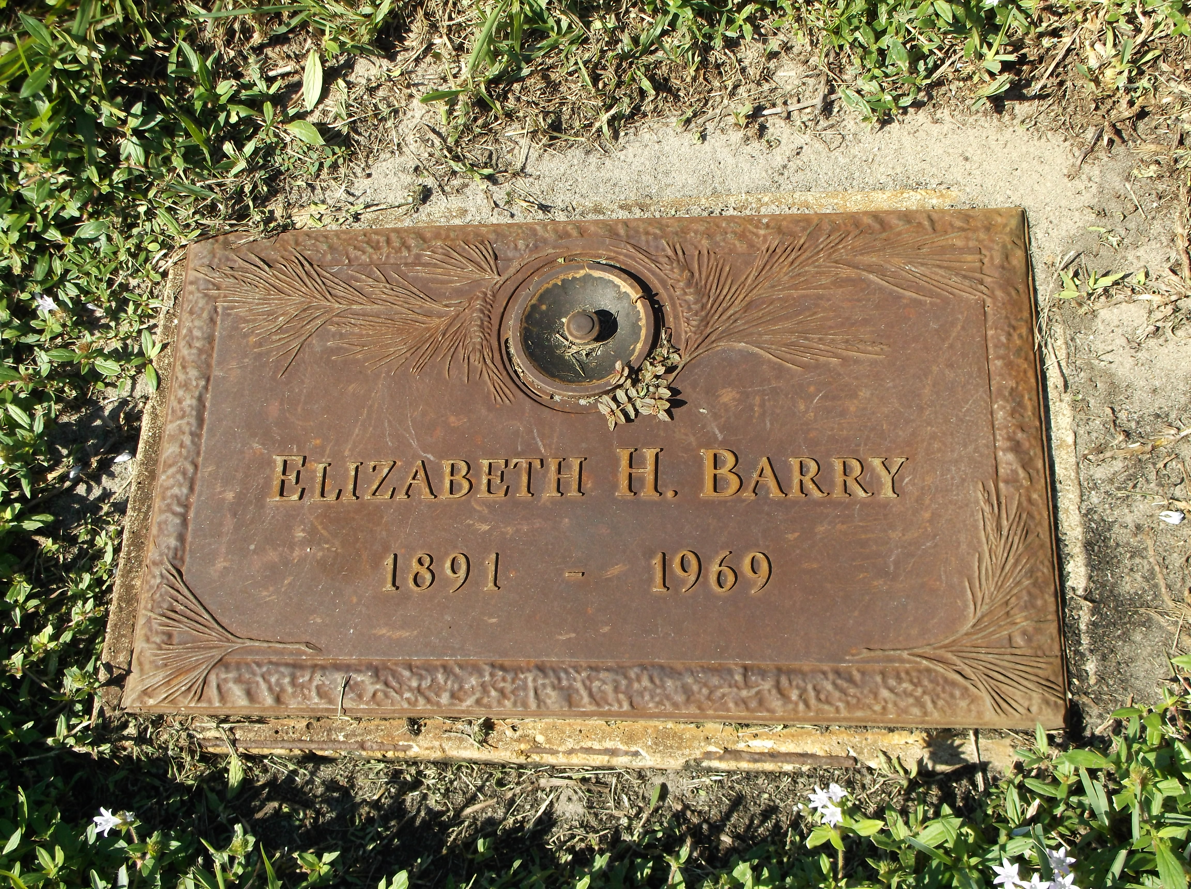 Elizabeth H Barry