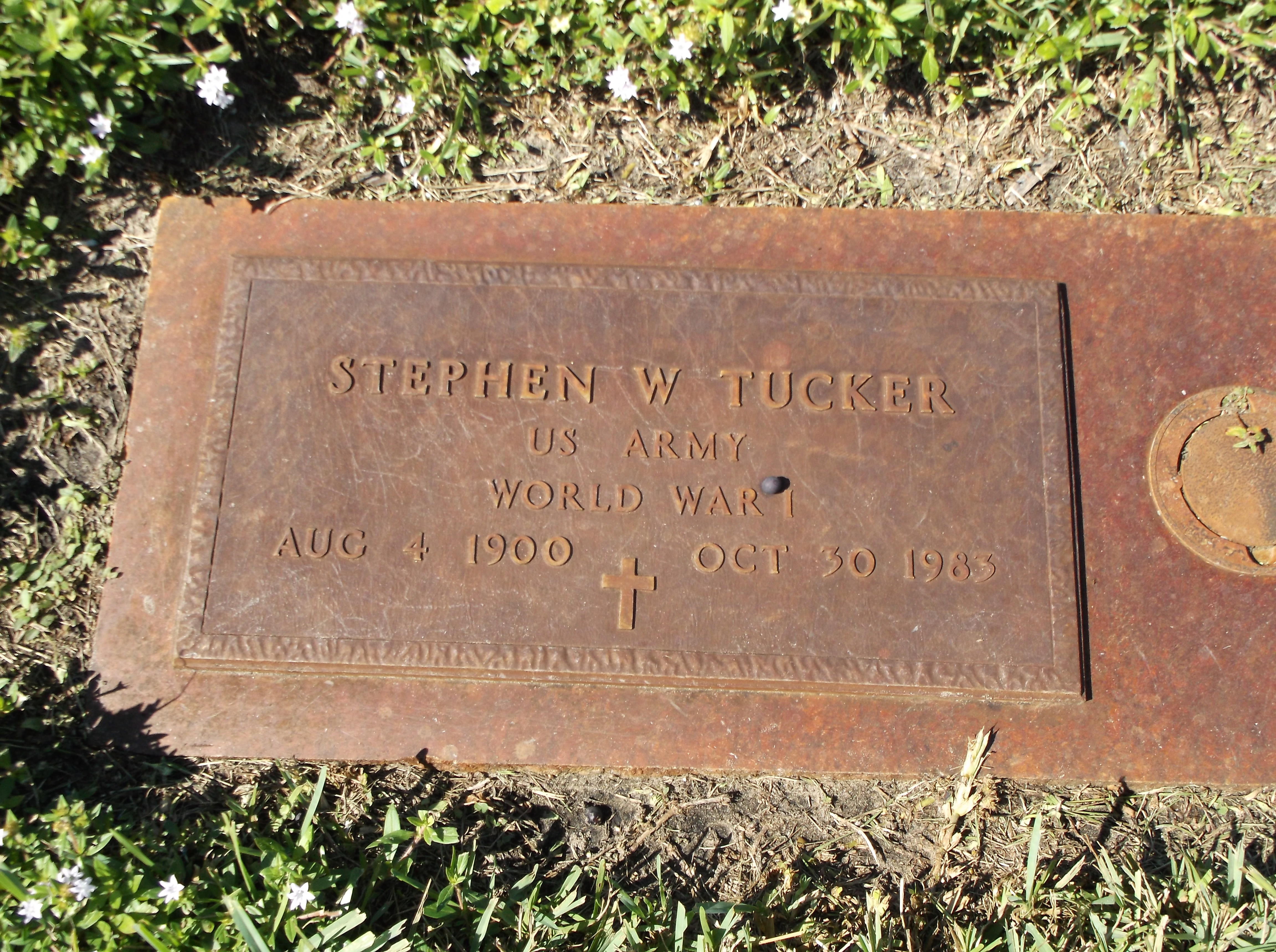 Stephen W Tucker