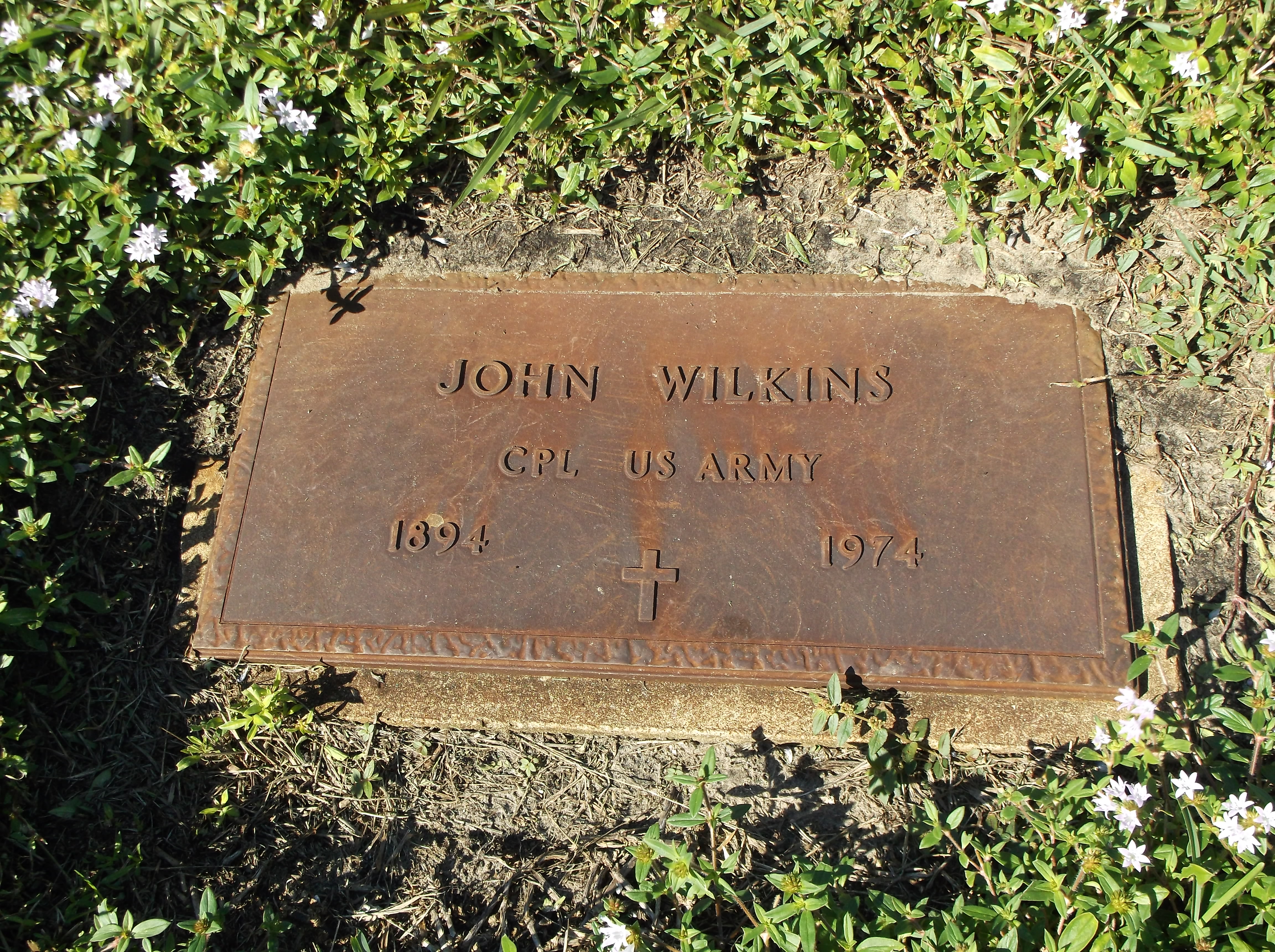 John Wilkins