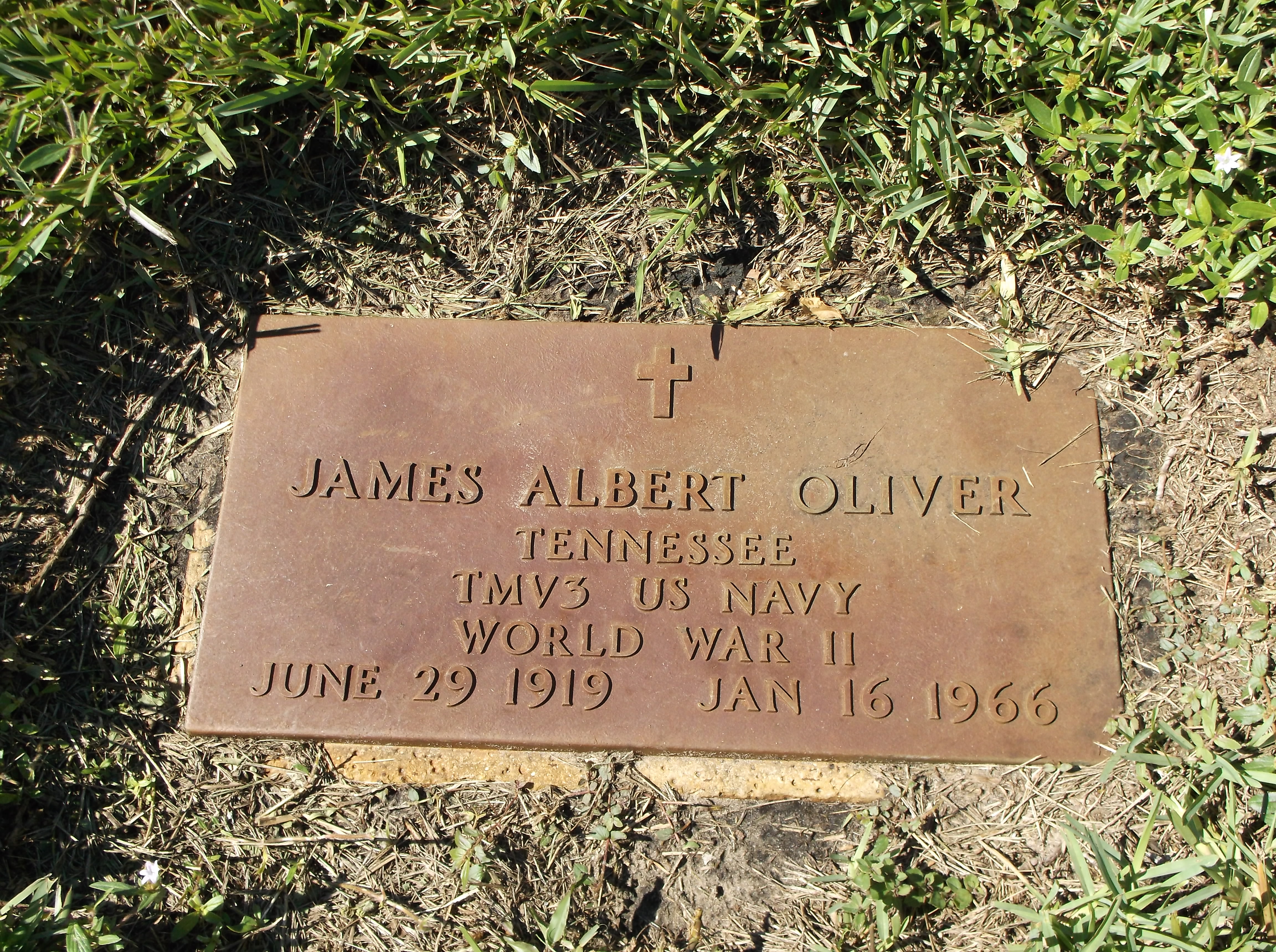 James Albert Oliver