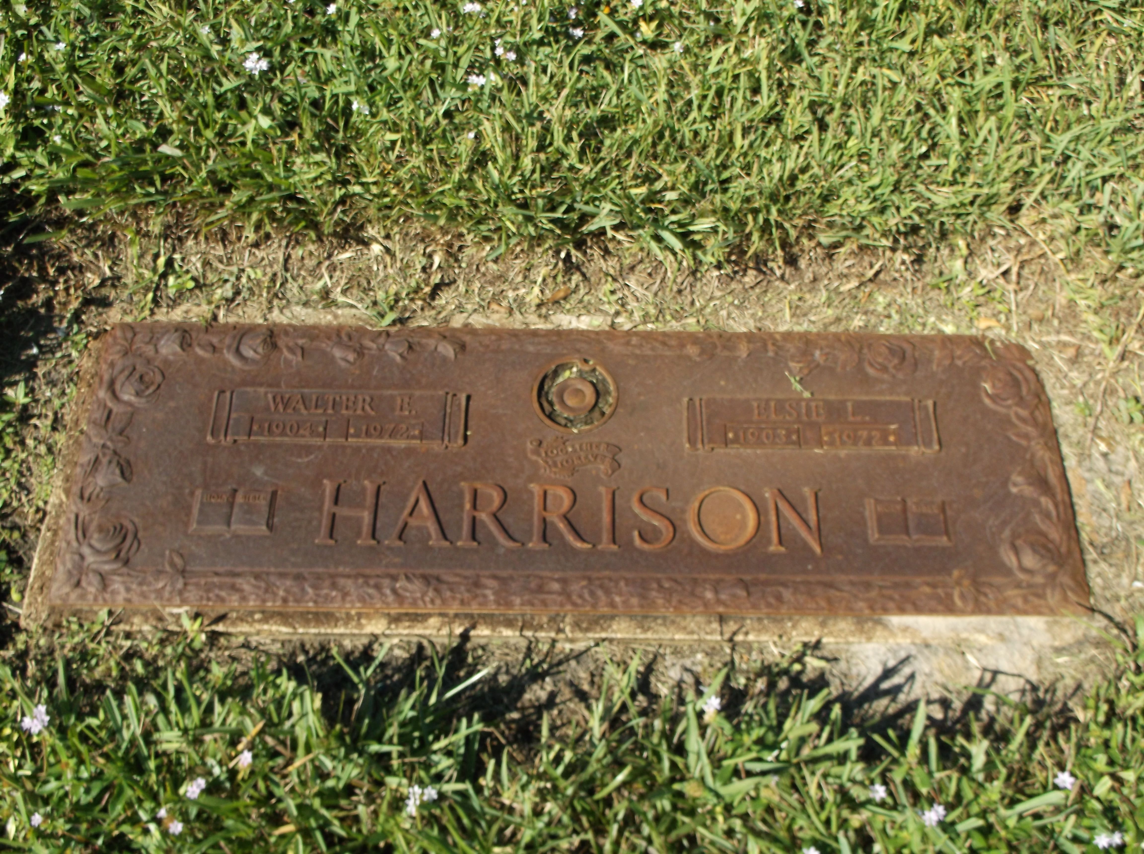 Walter E Harrison