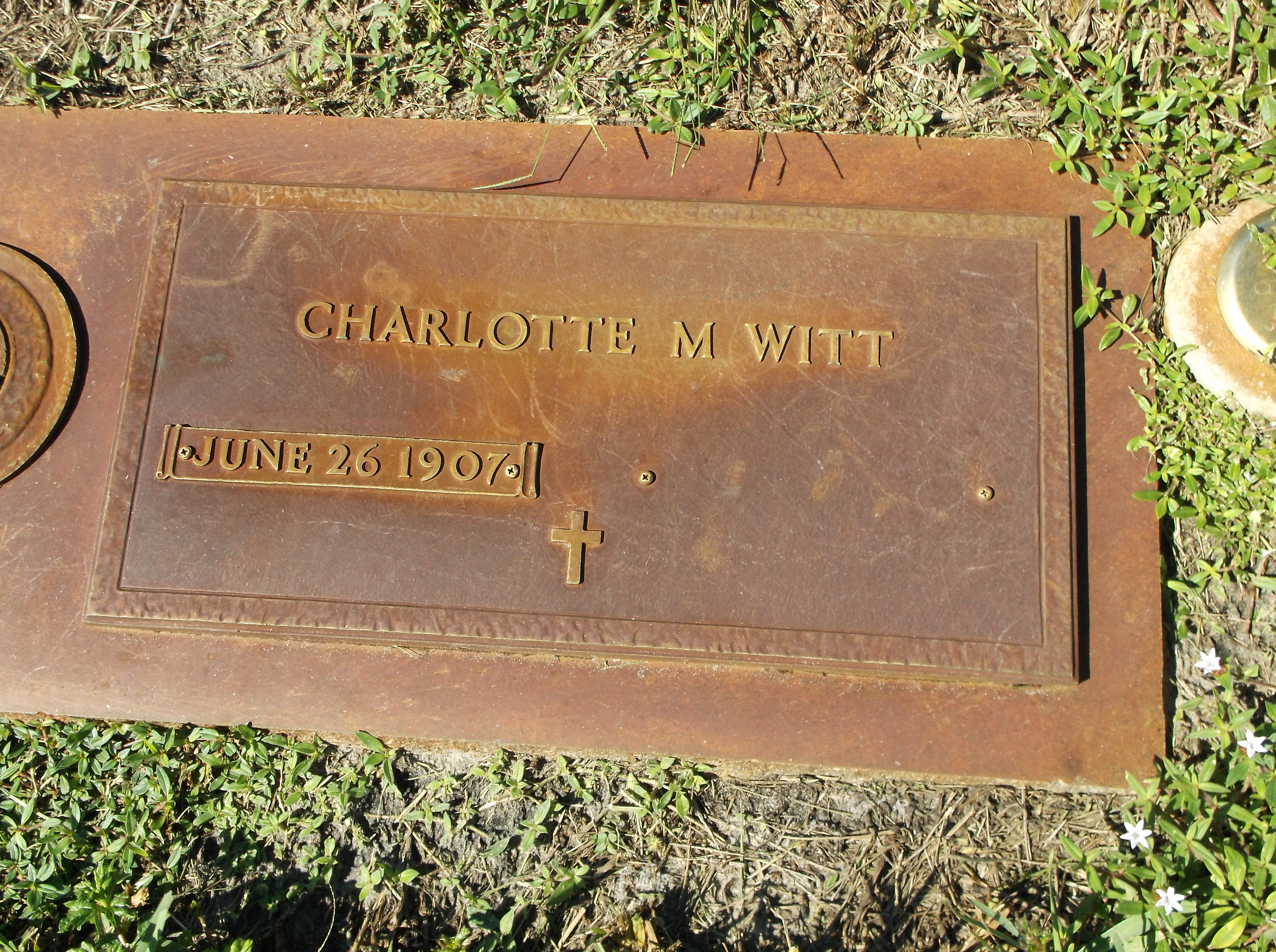 Charlotte M Witt
