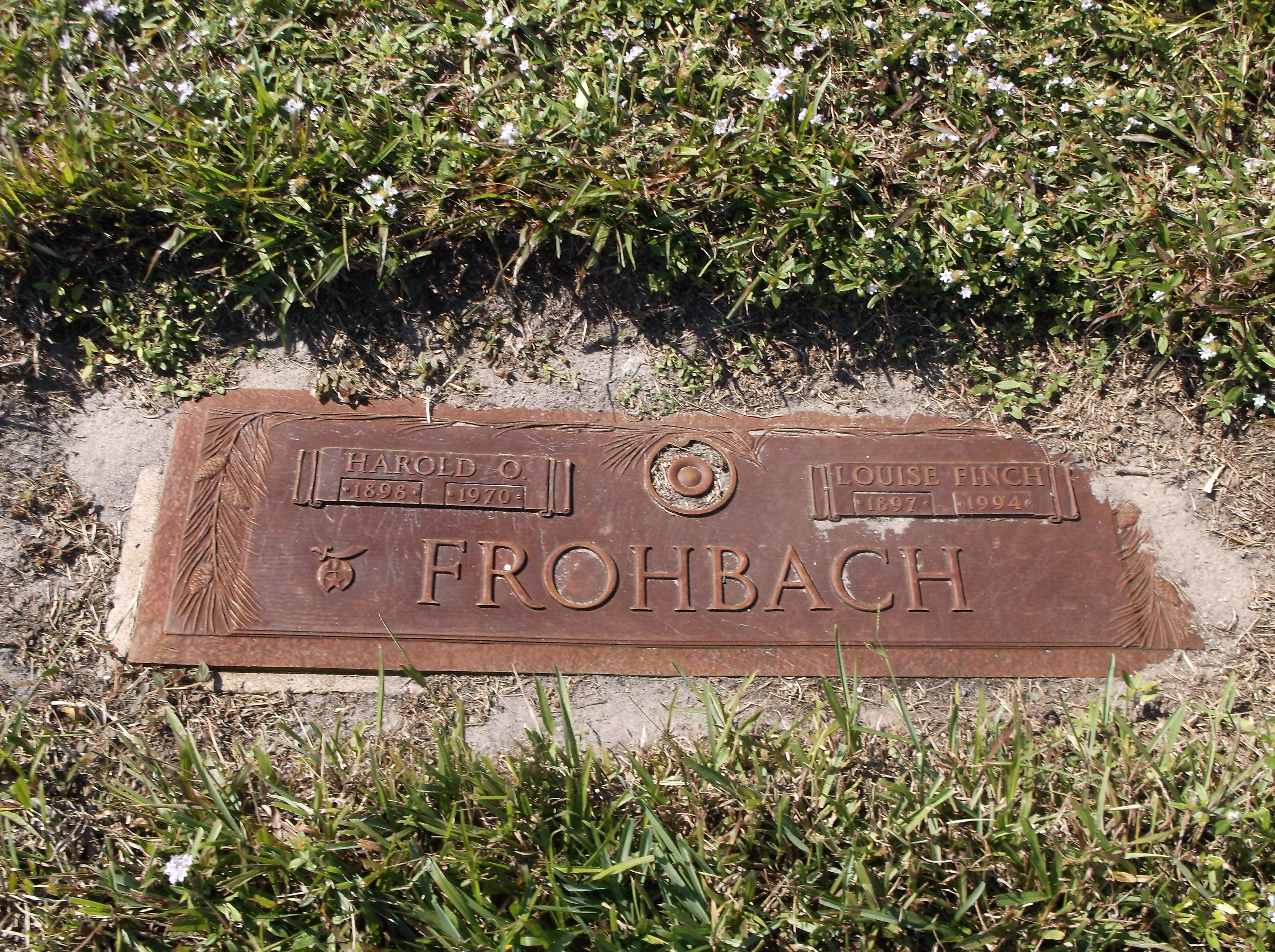Louise Finch Frohbach