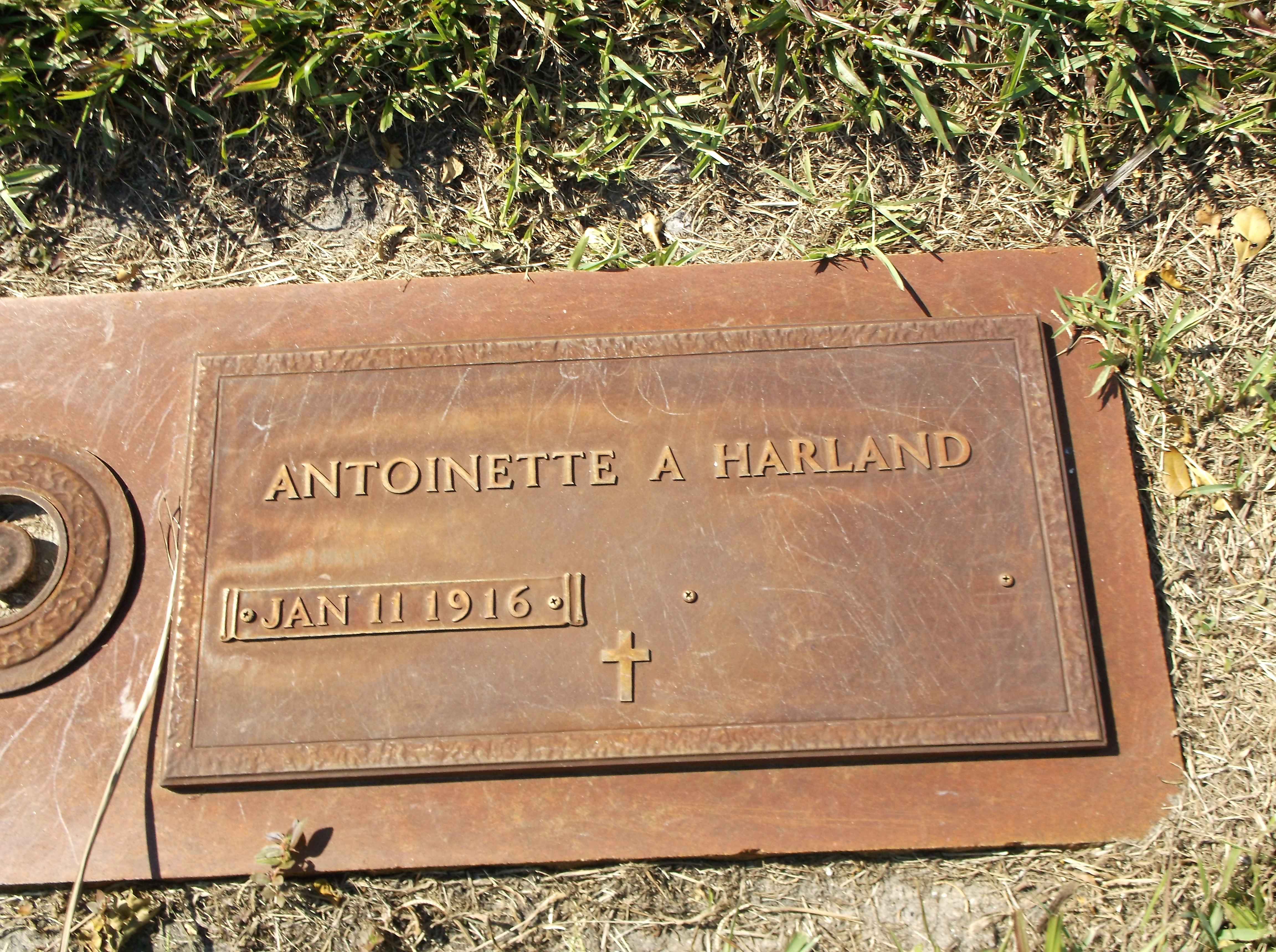 Antoinette A Harland