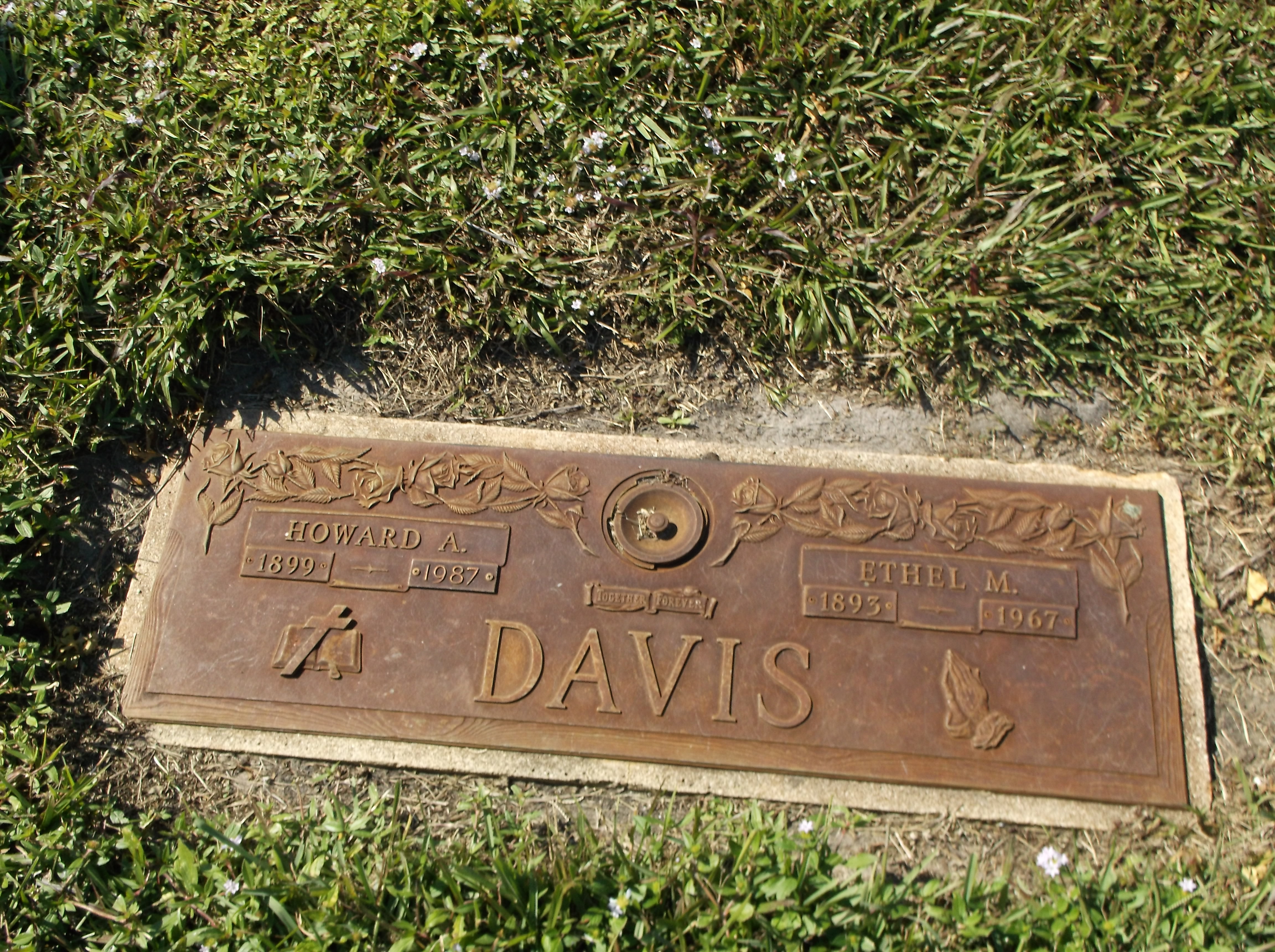 Ethel M Davis